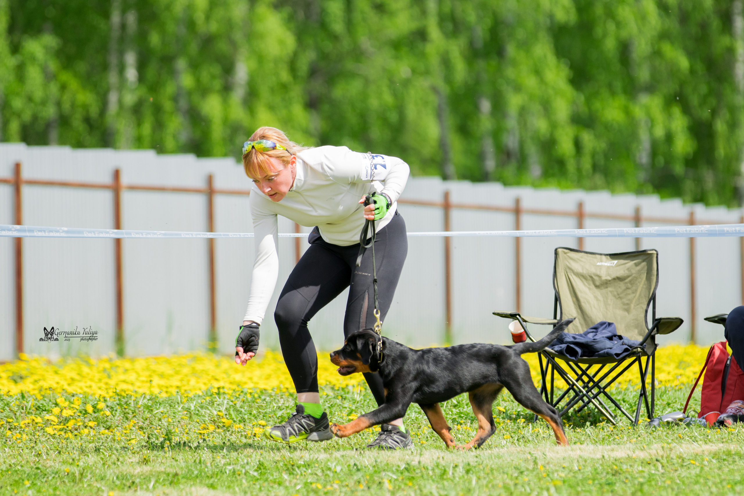 Нижний Новгород моно ротвейлеров 13.05.2023. Фотограф-анималист Юлия Германика