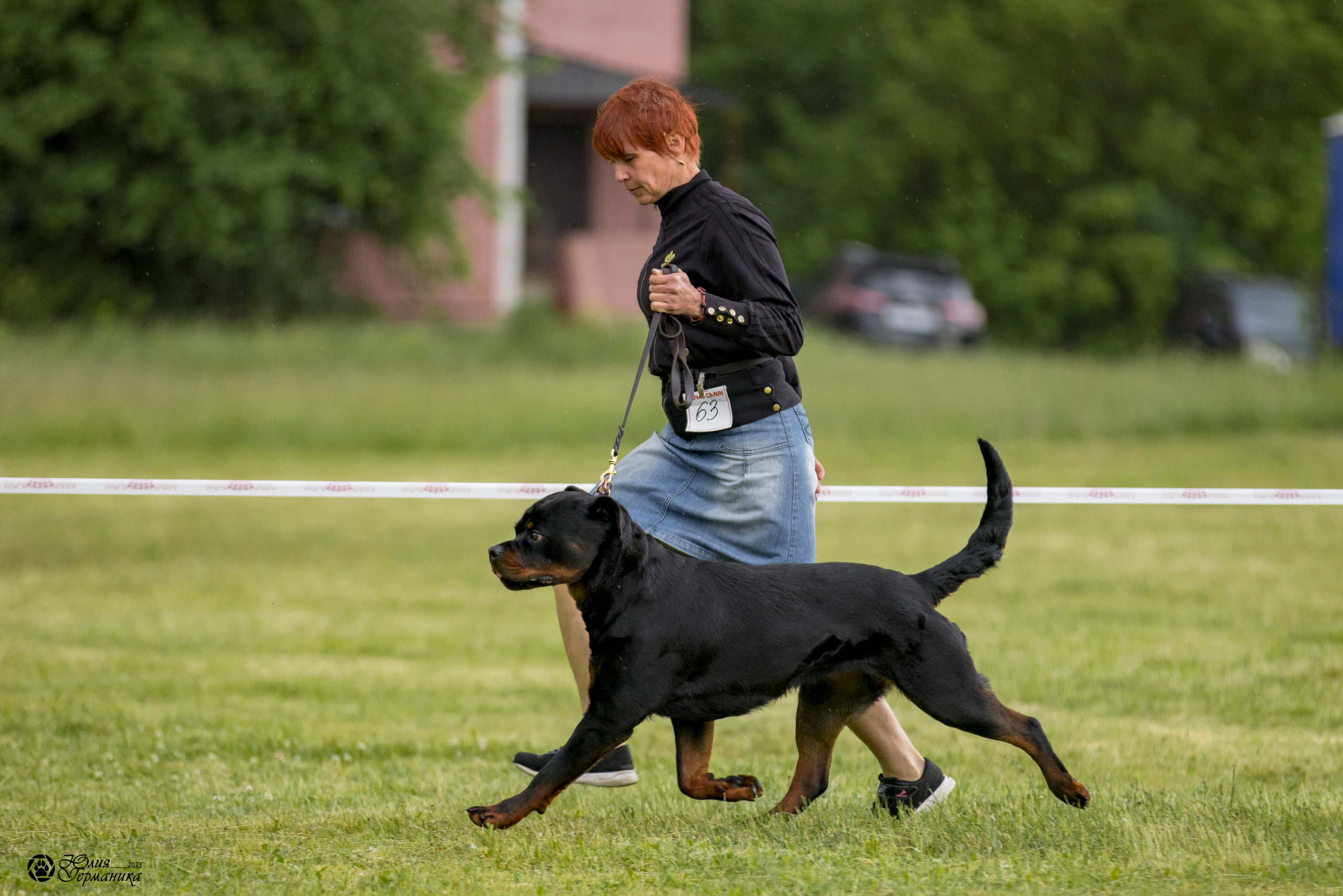 Воронеж 2хмоно ротвейлеров 3-4.06.2023. Фотограф-анималист Юлия Германика