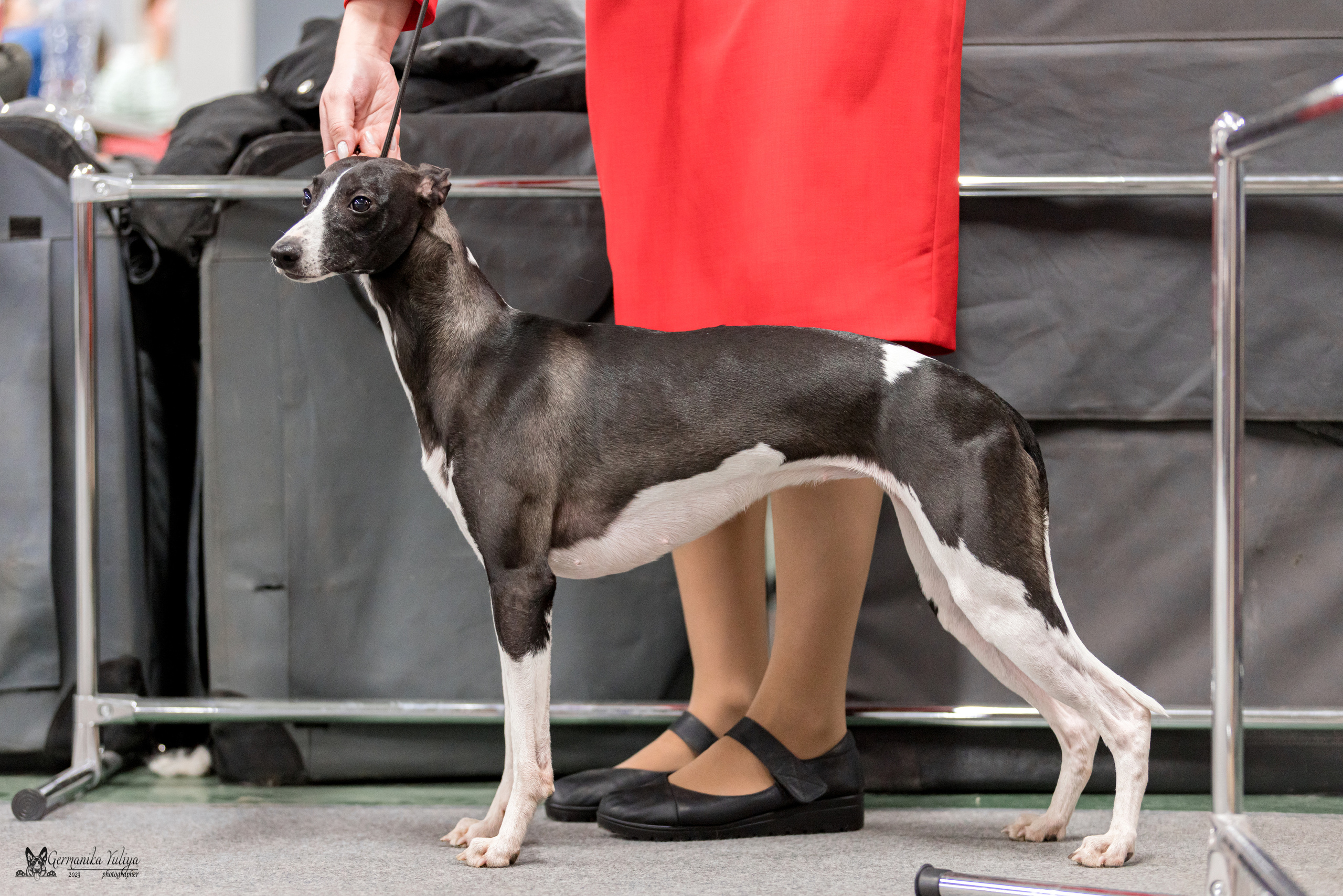 Сфера+МД 8-9.04.2023. Фотограф-анималист Юлия Германика