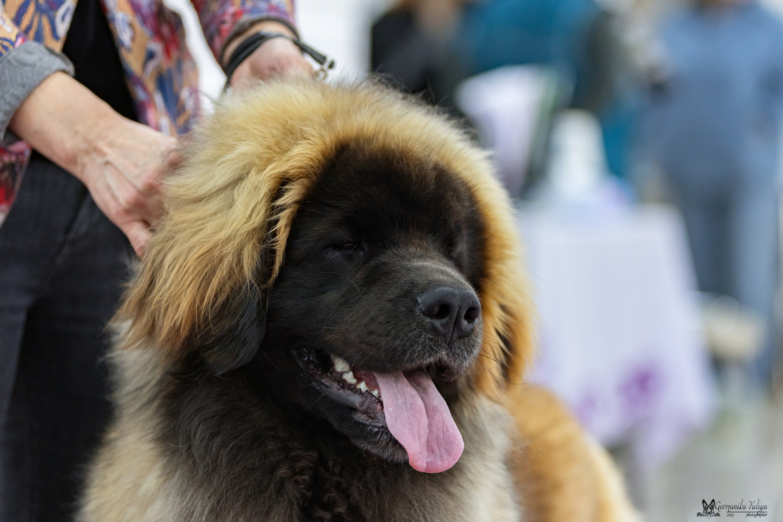 МД 15.04.2023. Фотограф-анималист Юлия Германика