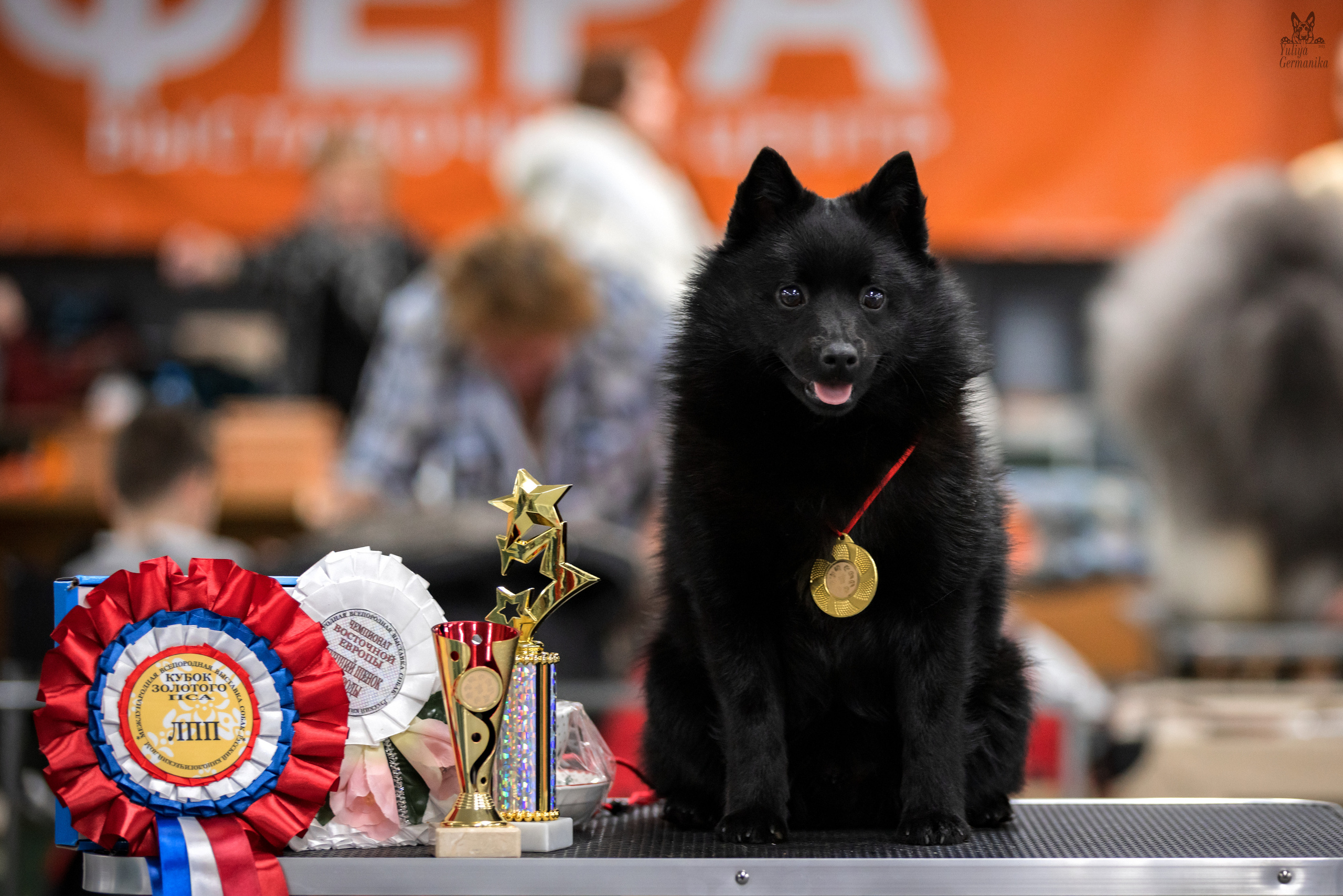 Сфера 25-26.03.2023. Фотограф-анималист Юлия Германика