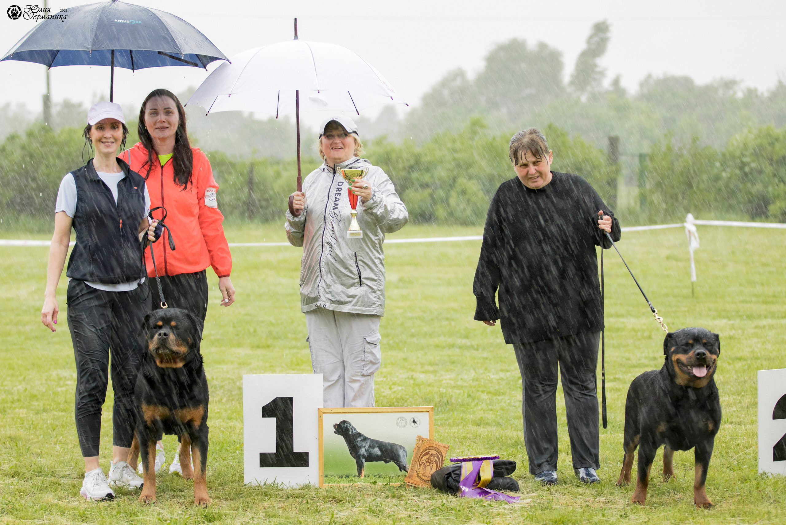Воронеж 2хмоно ротвейлеров 3-4.06.2023. Фотограф-анималист Юлия Германика
