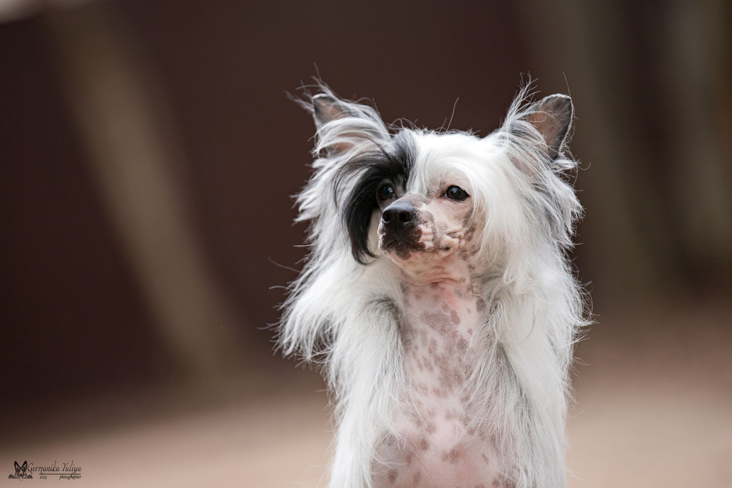 Сфера+МД 8-9.04.2023. Фотограф-анималист Юлия Германика