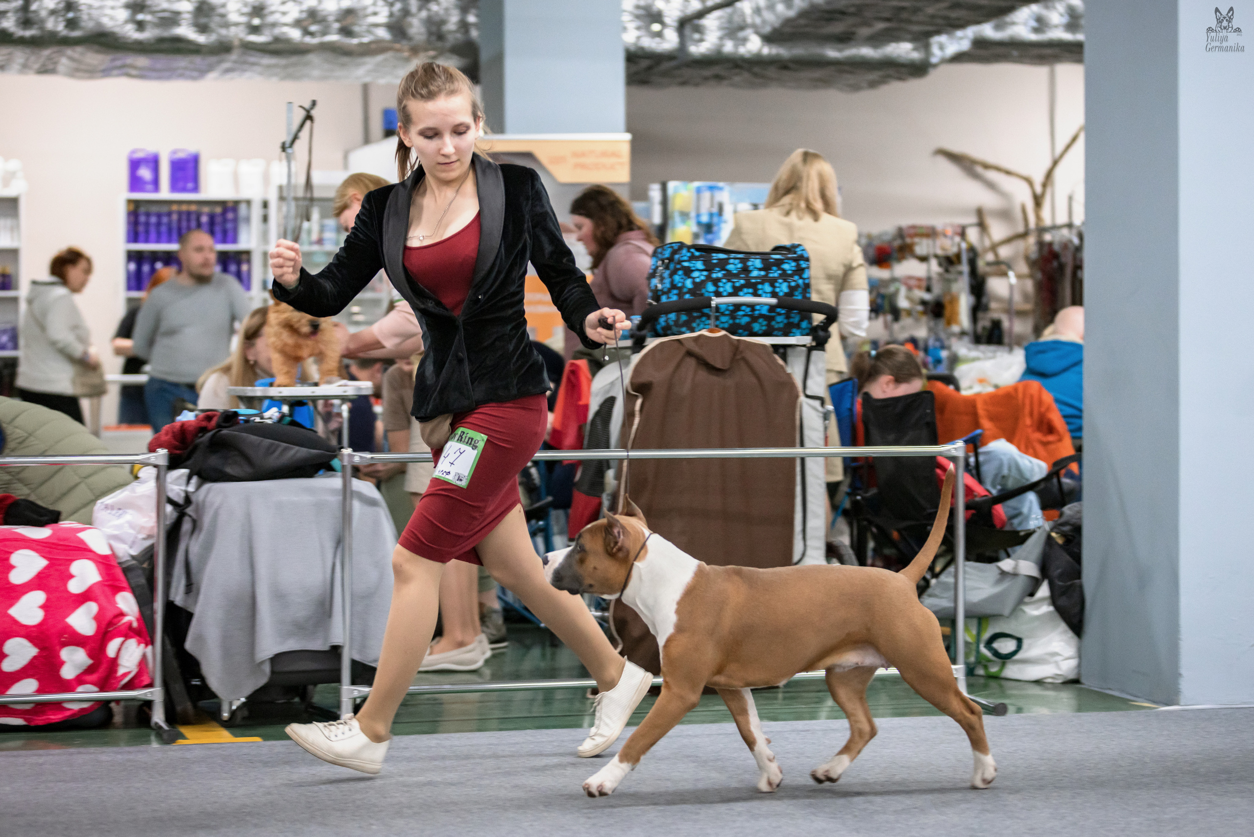 Сфера 25-26.03.2023. Фотограф-анималист Юлия Германика