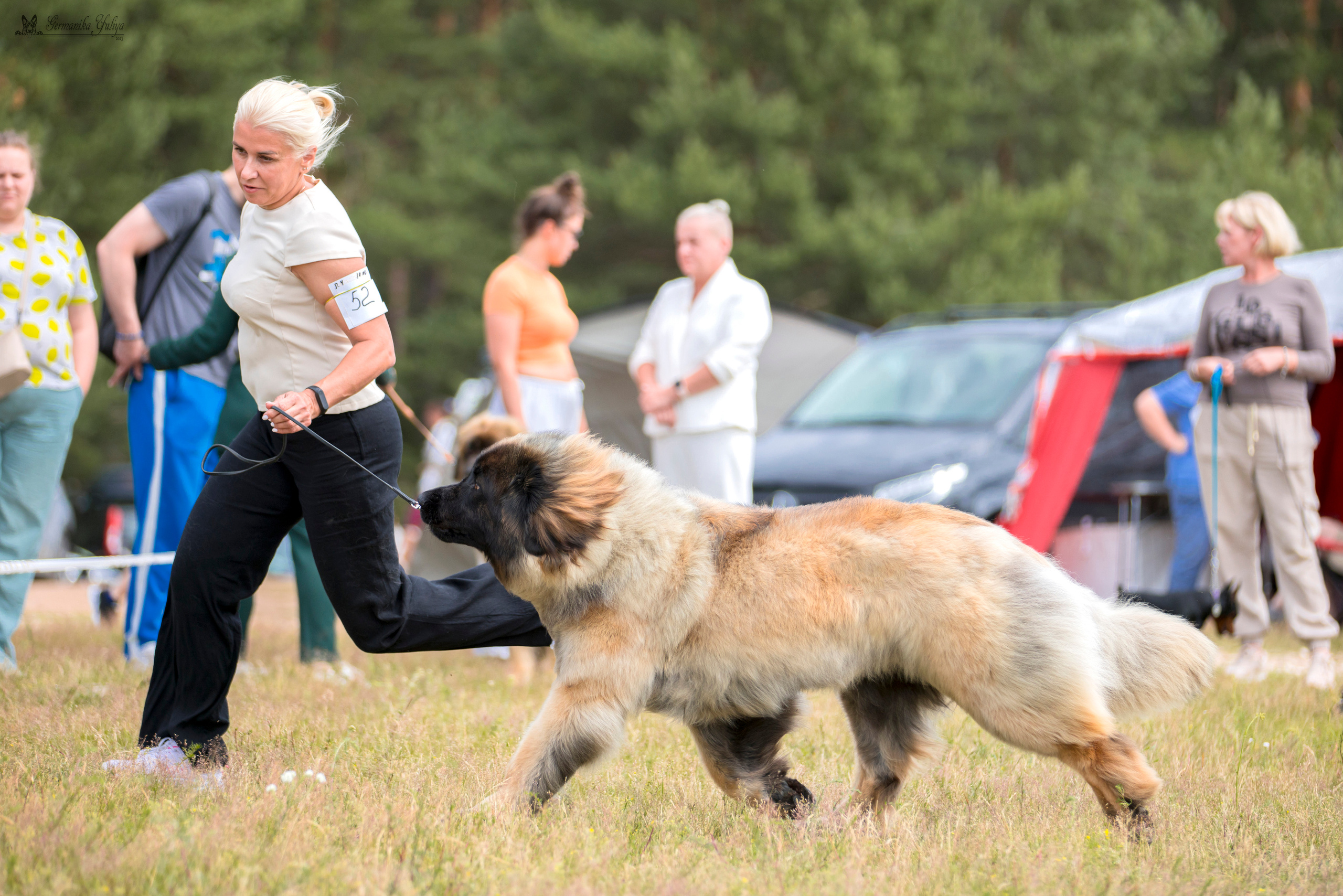 Волжанка 8.07.2023. Фотограф-анималист Юлия Германика