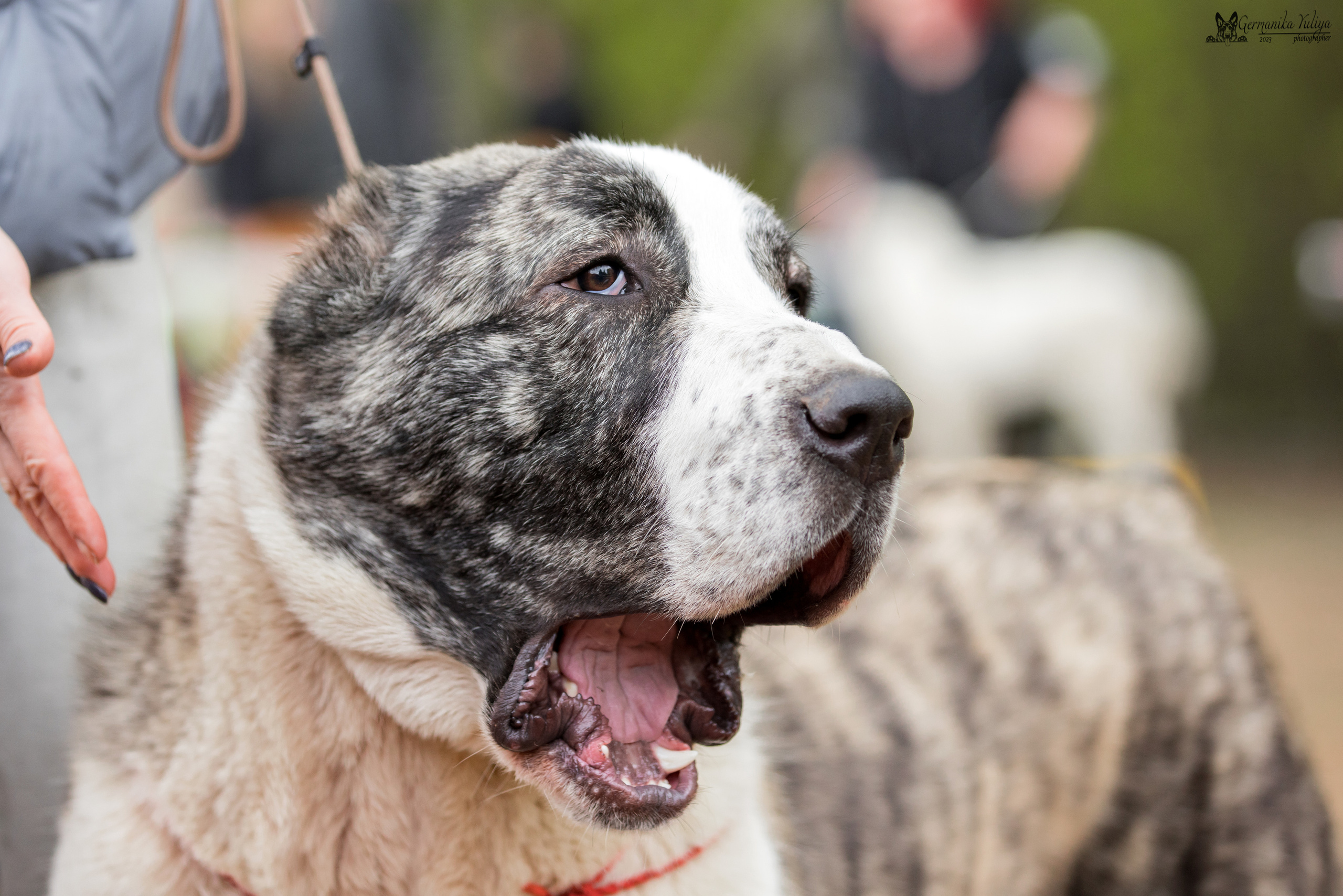 Сокольники 1.05.2023. Фотограф-анималист Юлия Германика