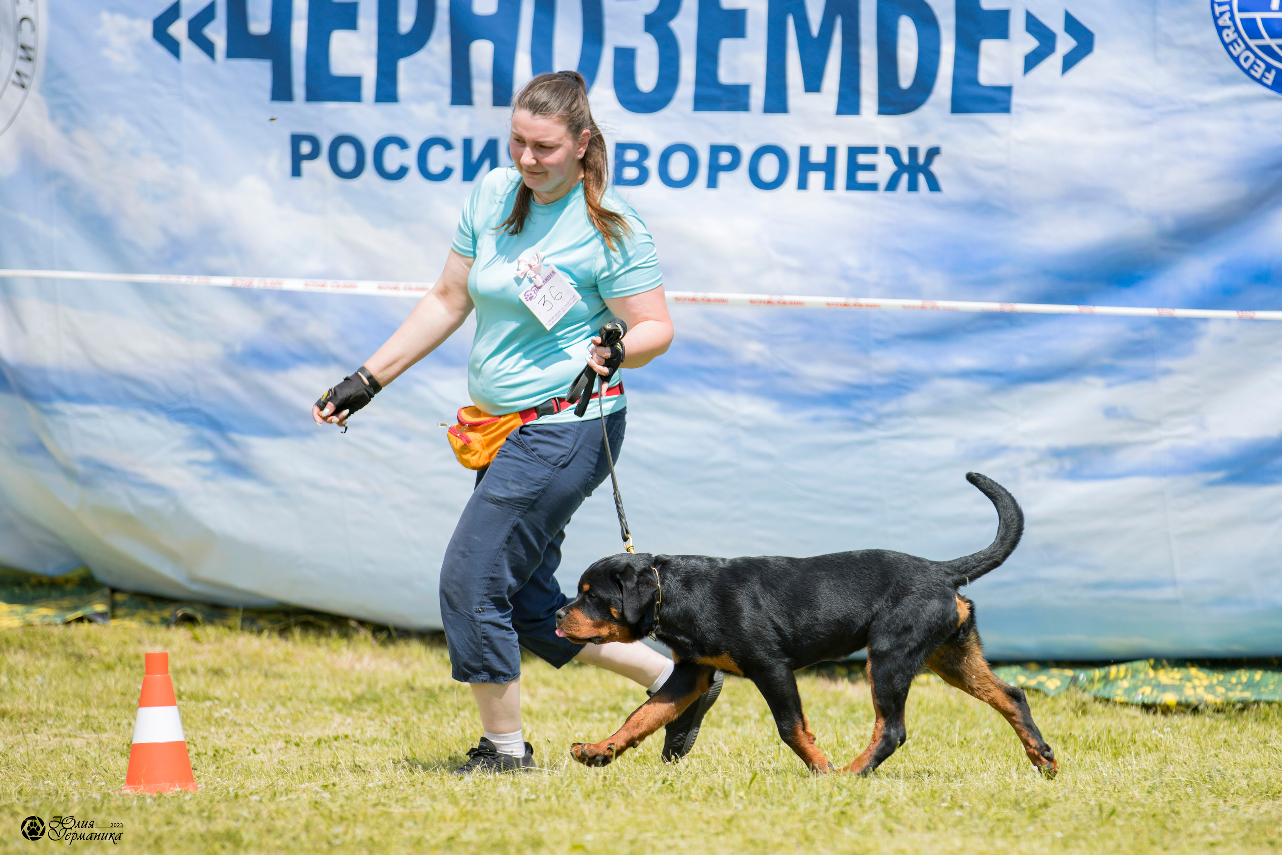 Воронеж 2хмоно ротвейлеров 3-4.06.2023. Фотограф-анималист Юлия Германика