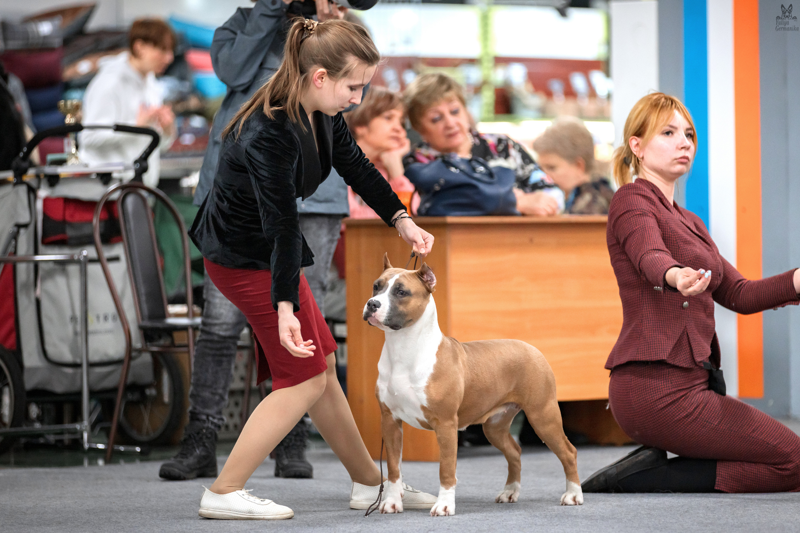 Сфера 25-26.03.2023. Фотограф-анималист Юлия Германика