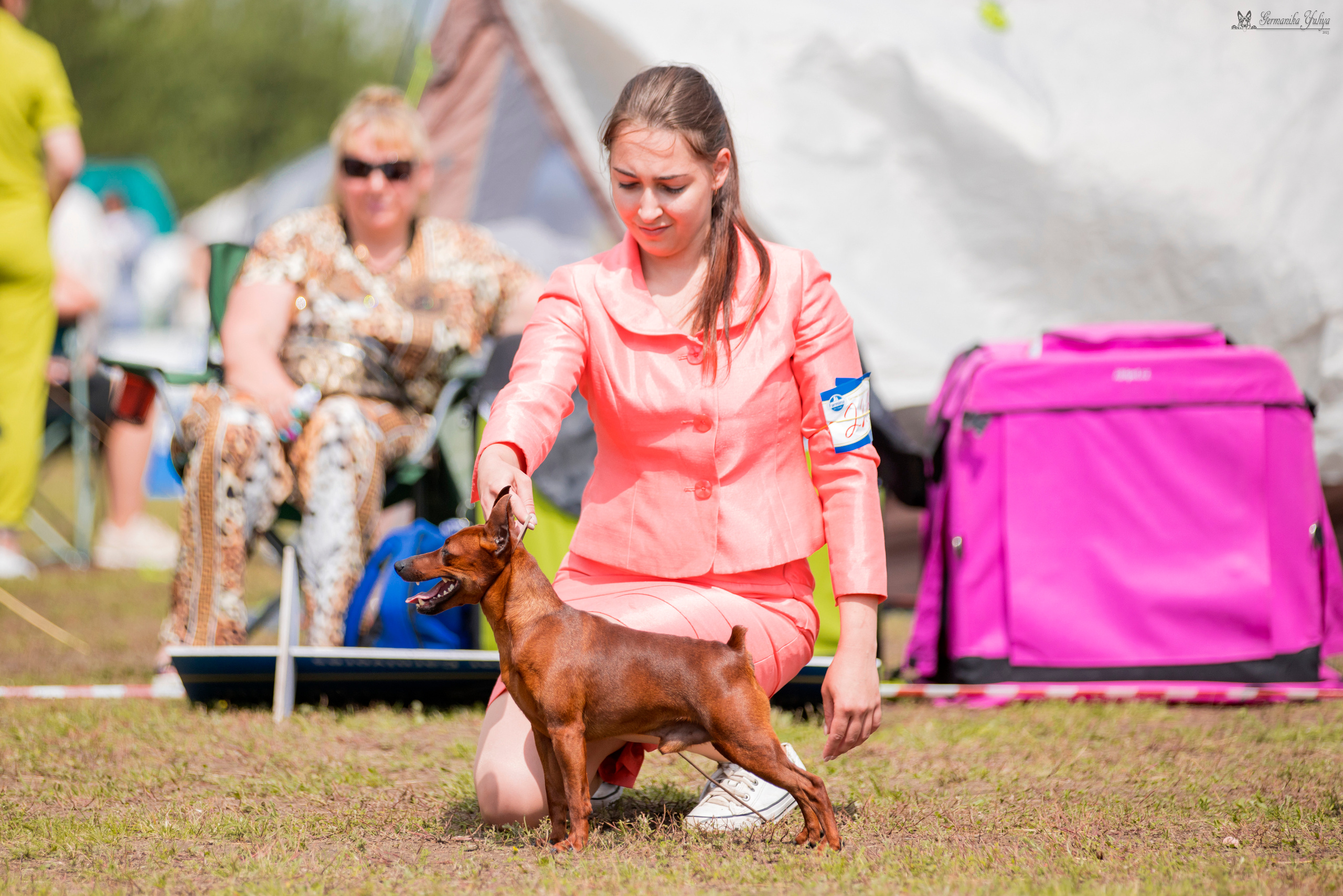 Владимир 1-2.07.2023. Фотограф-анималист Юлия Германика