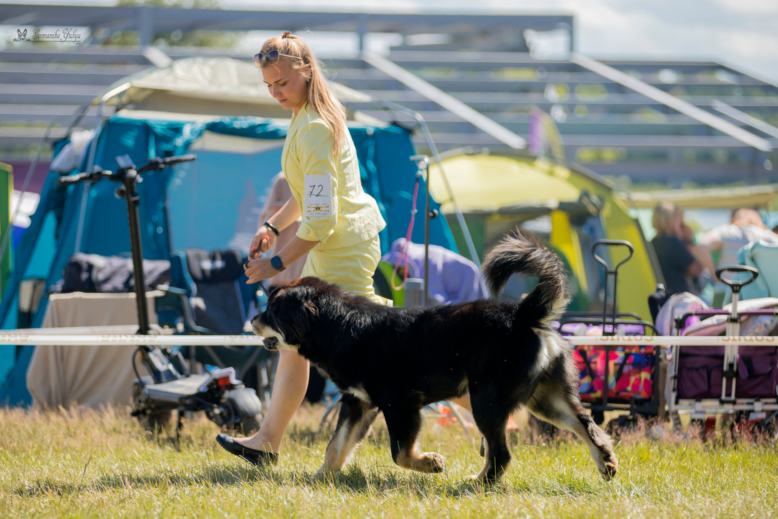 Волжанка 8.07.2023. Фотограф-анималист Юлия Германика