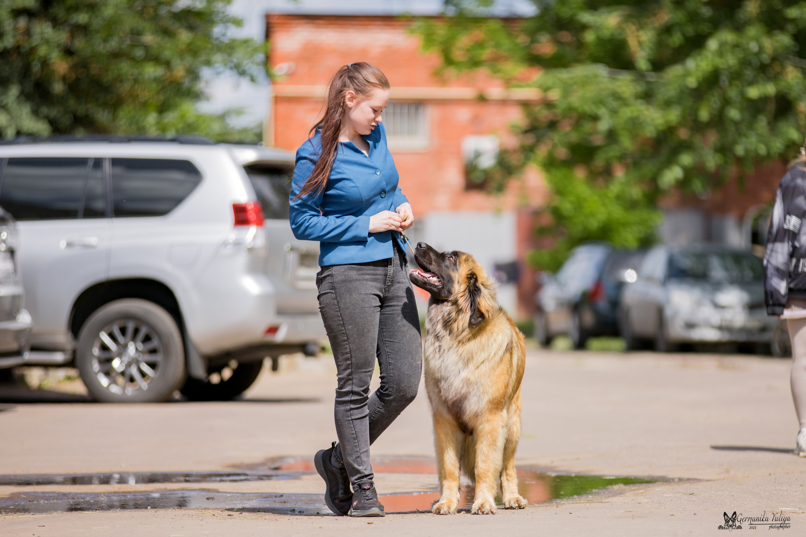 Националка Леонбергеров 28.05.2023. Фотограф-анималист Юлия Германика