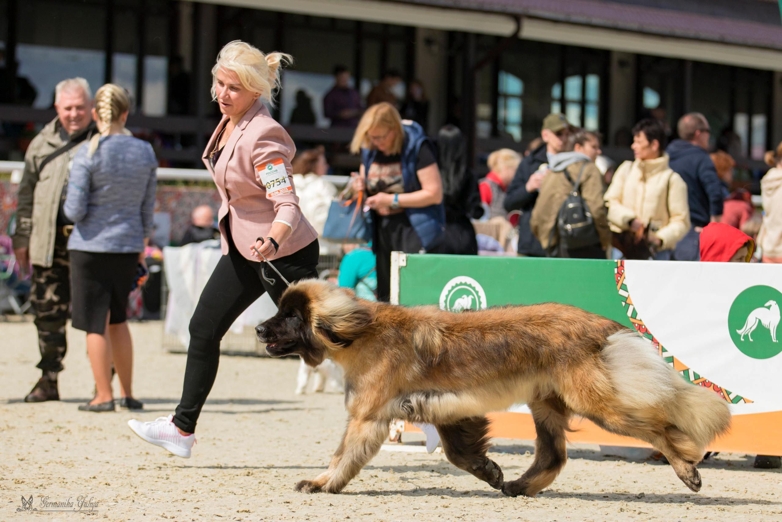 Россия 10-11.06.2023. Фотограф-анималист Юлия Германика