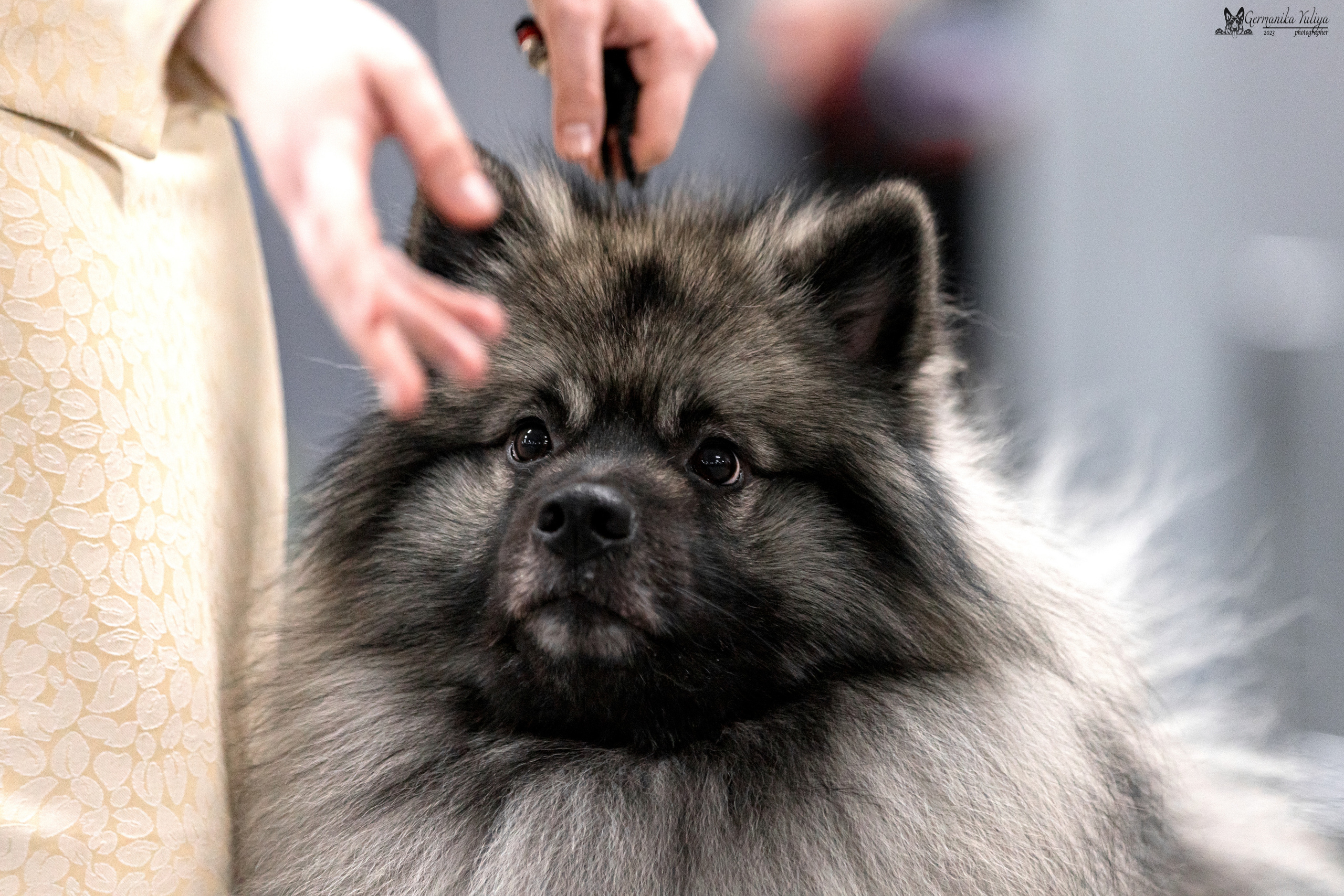 Сфера+МД 8-9.04.2023. Фотограф-анималист Юлия Германика