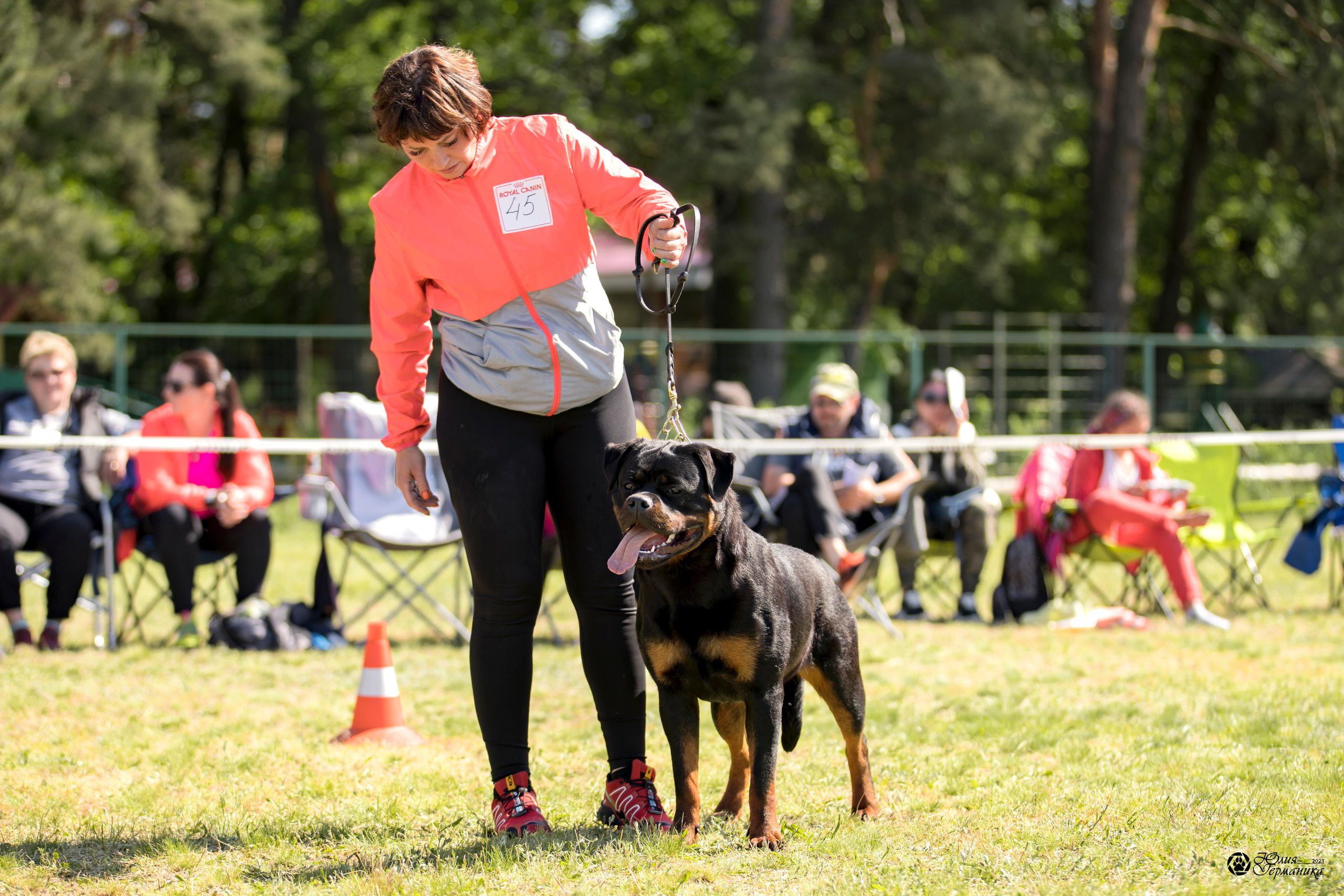 Воронеж 2хмоно ротвейлеров 3-4.06.2023. Фотограф-анималист Юлия Германика