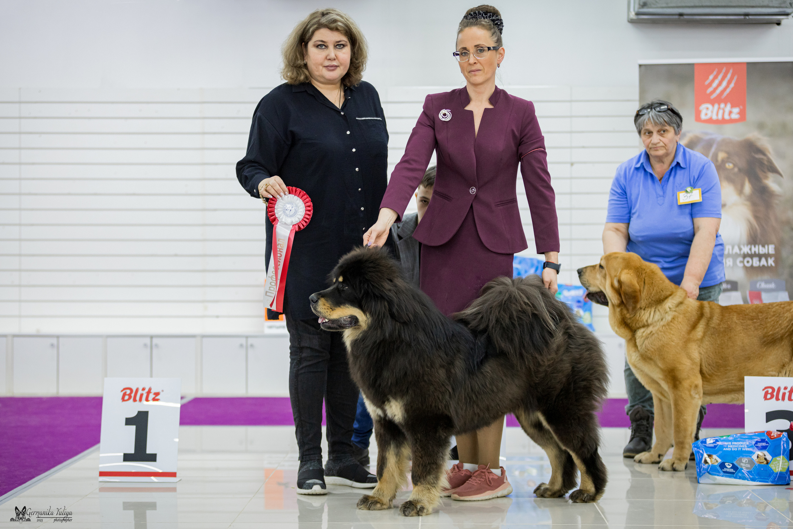 Сфера+МД 8-9.04.2023. Фотограф-анималист Юлия Германика