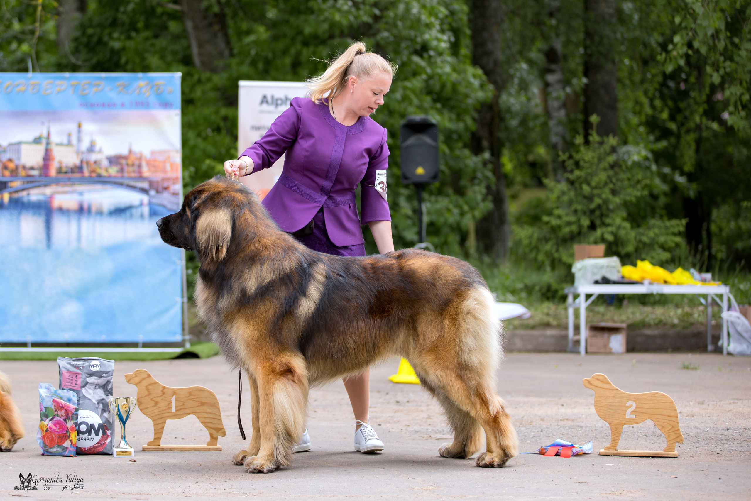 Националка Леонбергеров 28.05.2023. Фотограф-анималист Юлия Германика