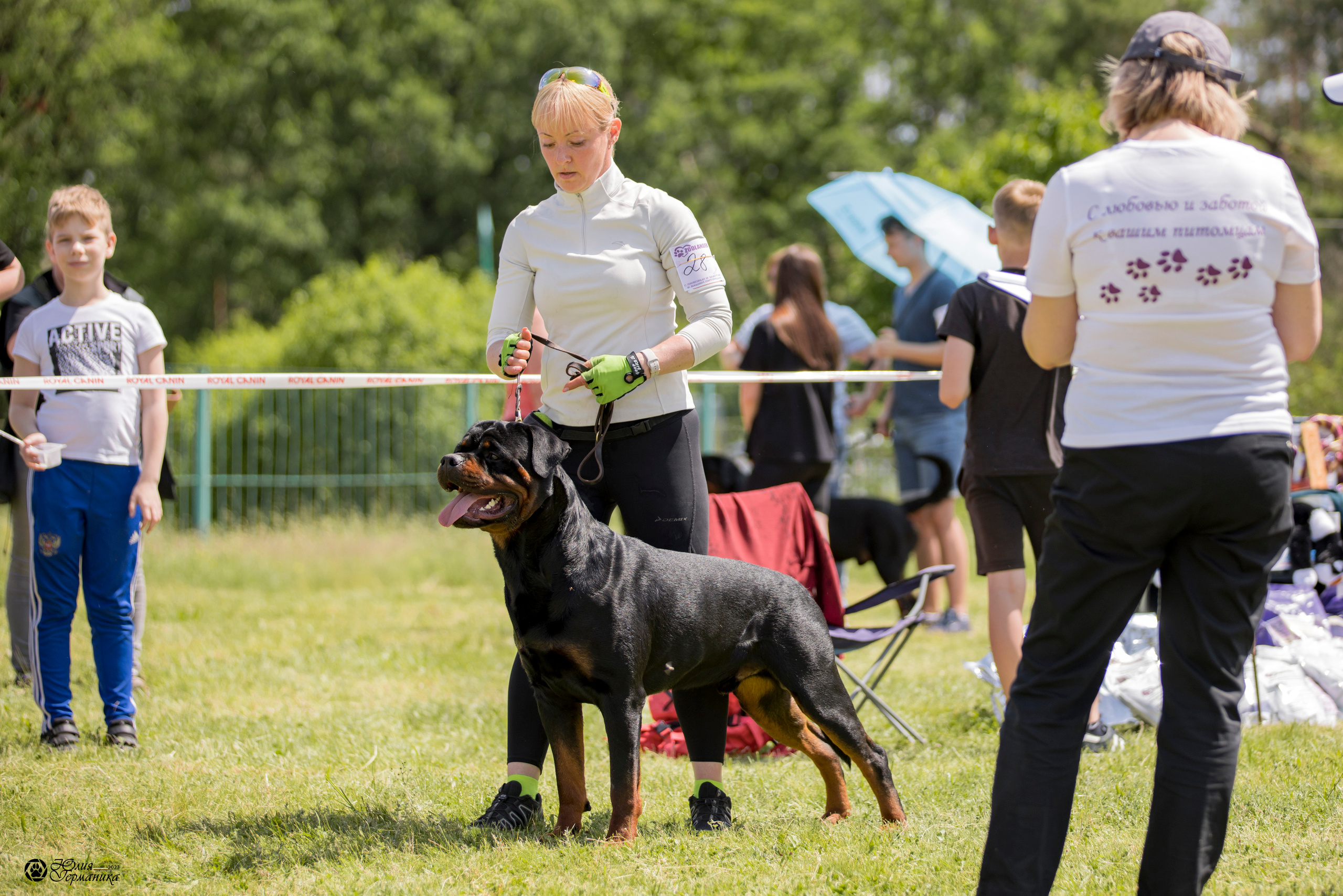 Воронеж 2хмоно ротвейлеров 3-4.06.2023. Фотограф-анималист Юлия Германика
