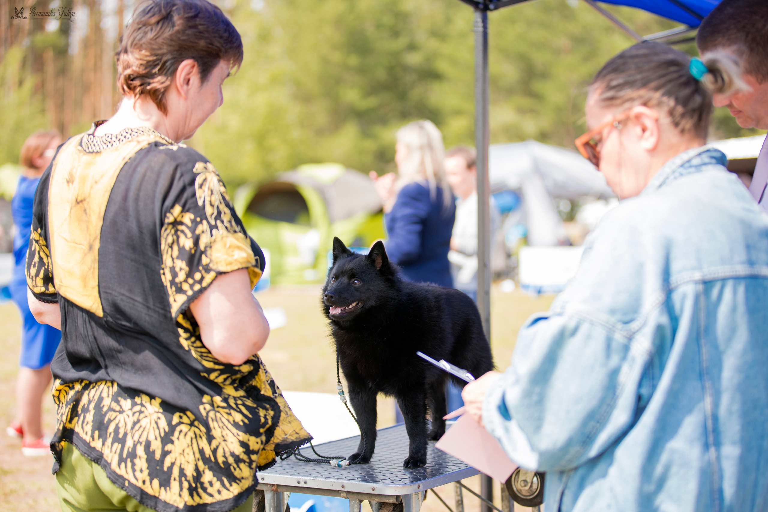 Владимир 1-2.07.2023. Фотограф-анималист Юлия Германика