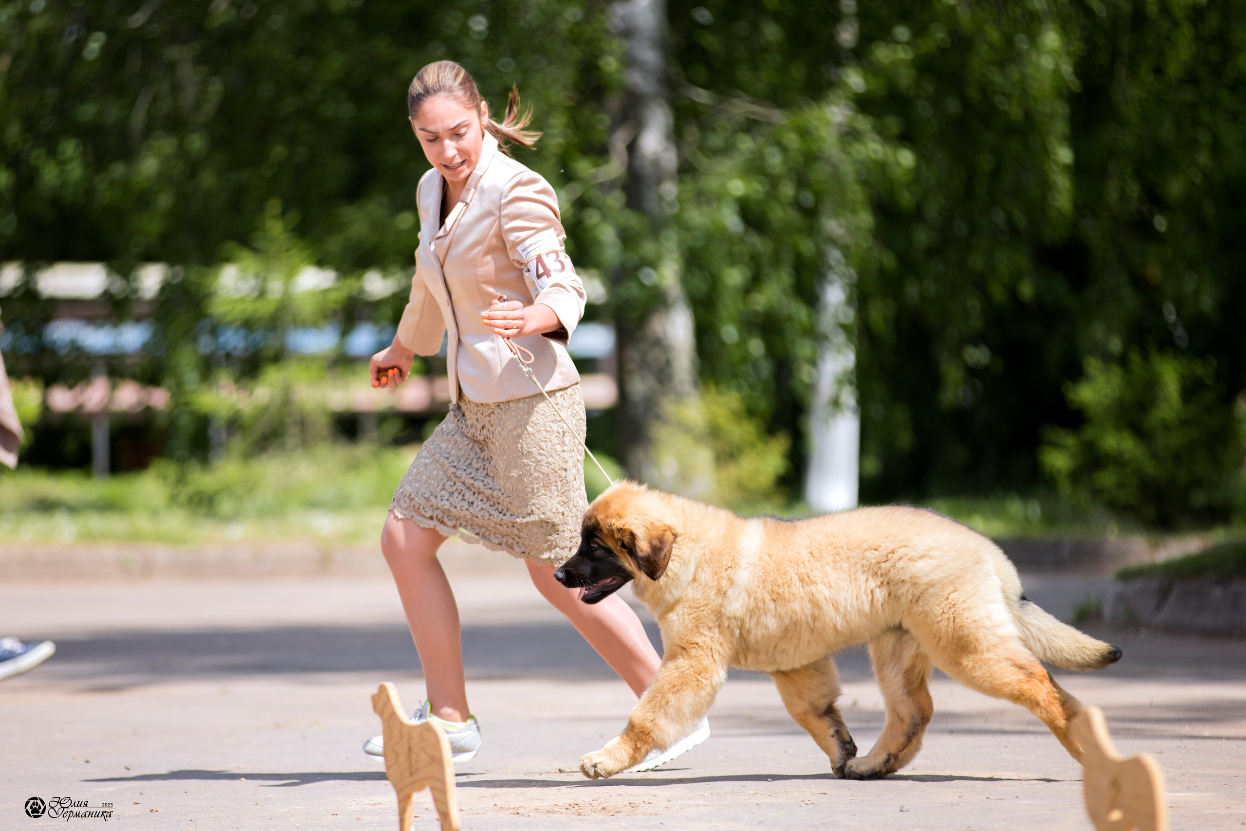 Националка Леонбергеров 28.05.2023. Фотограф-анималист Юлия Германика