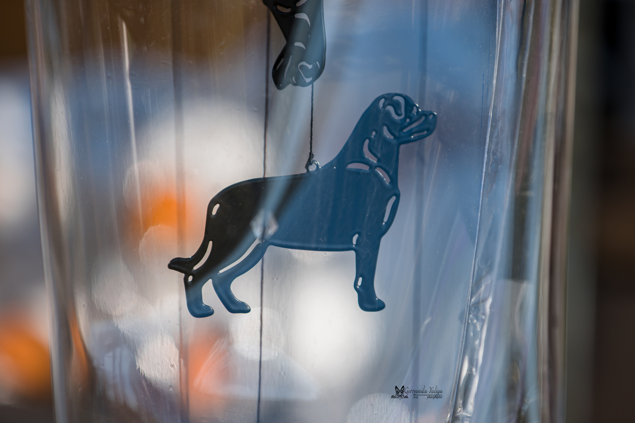 Саратов 2хмоно ротвейлеров 22-23.04.2023. Фотограф-анималист Юлия Германика