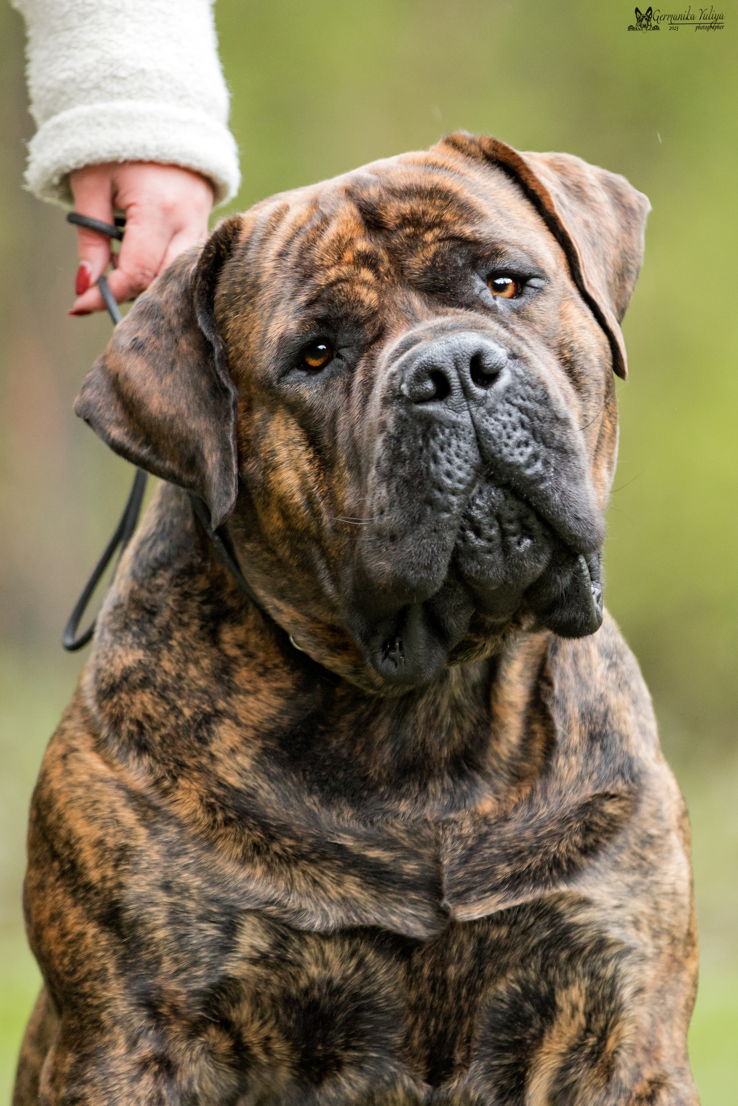 Сокольники 1.05.2023