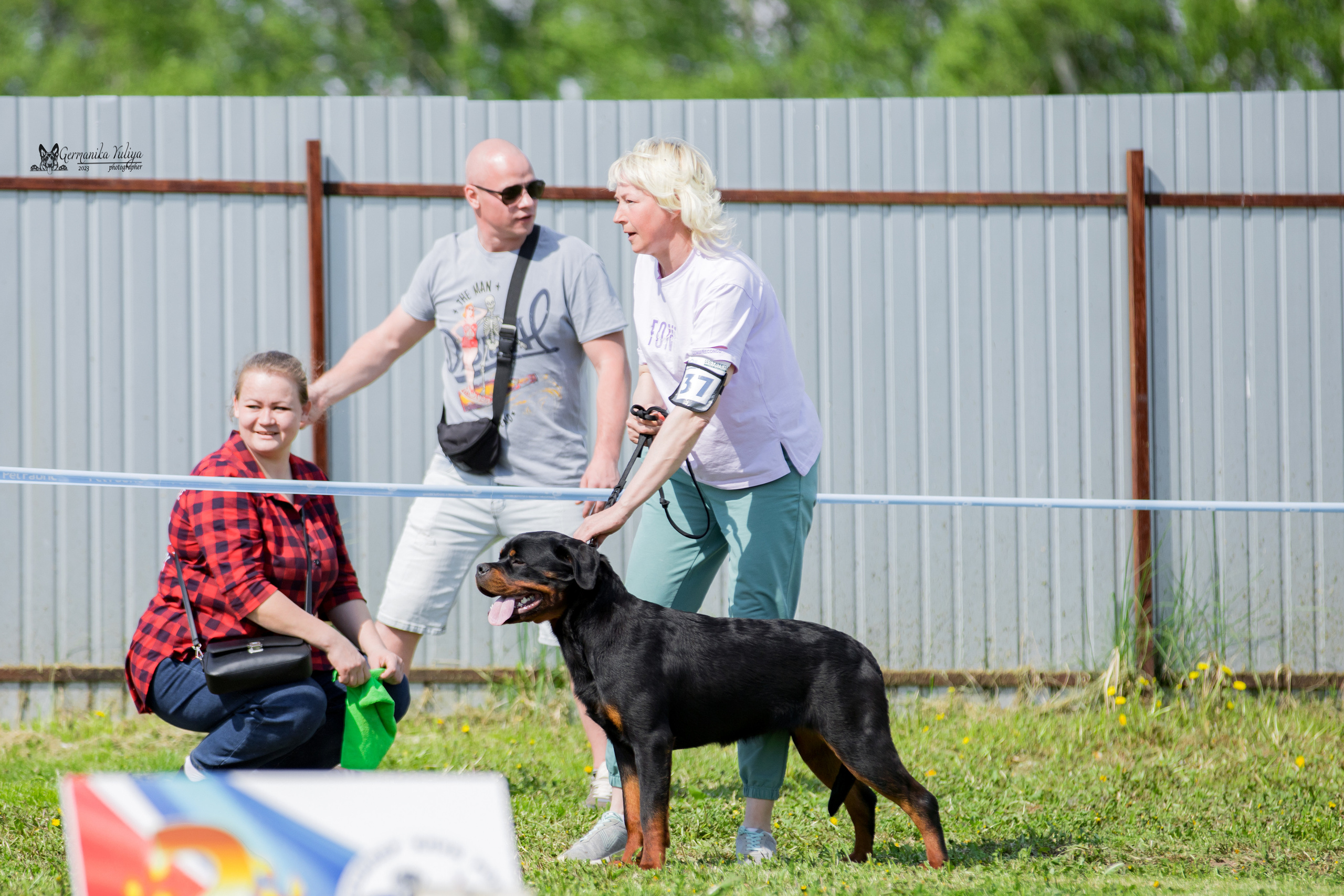 Нижний Новгород моно ротвейлеров 13.05.2023. Фотограф-анималист Юлия Германика