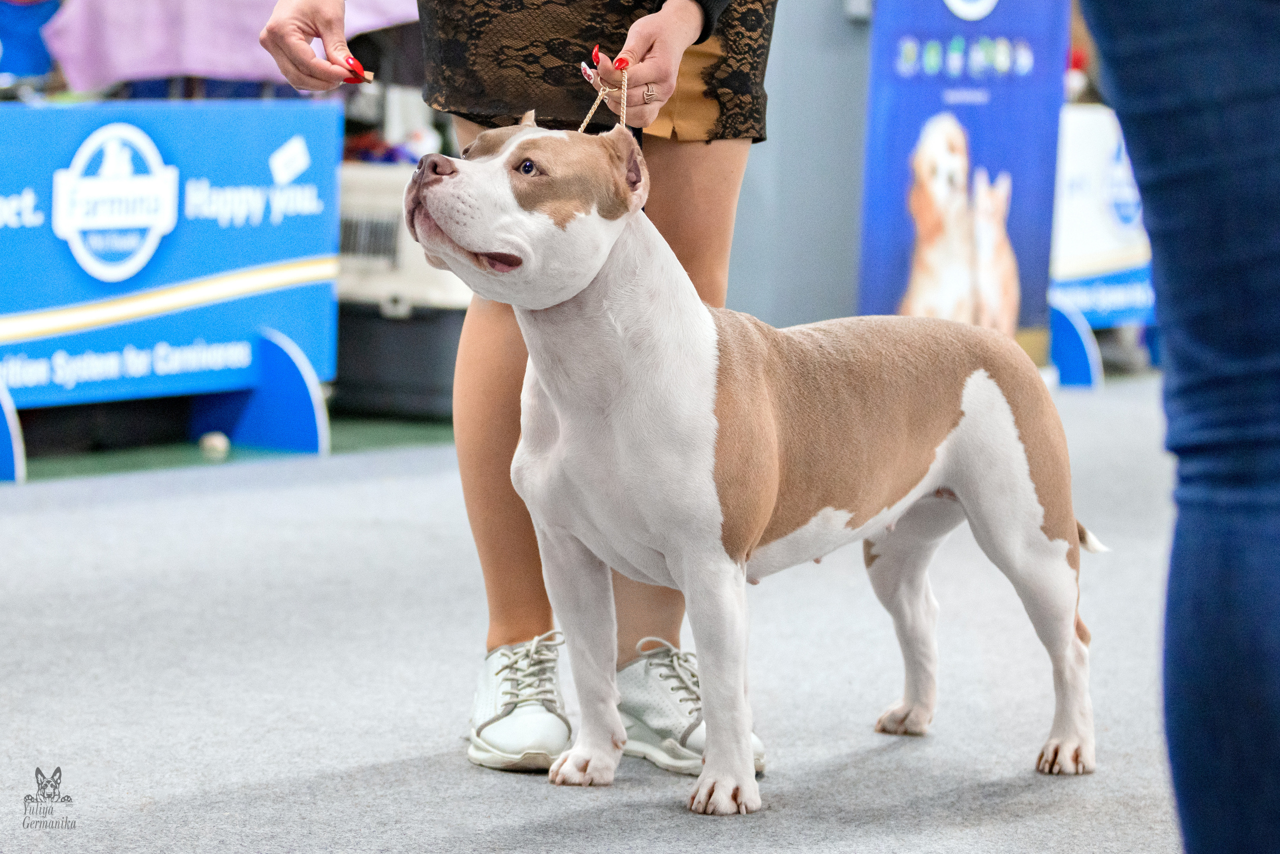 Сфера 25-26.03.2023. Фотограф-анималист Юлия Германика