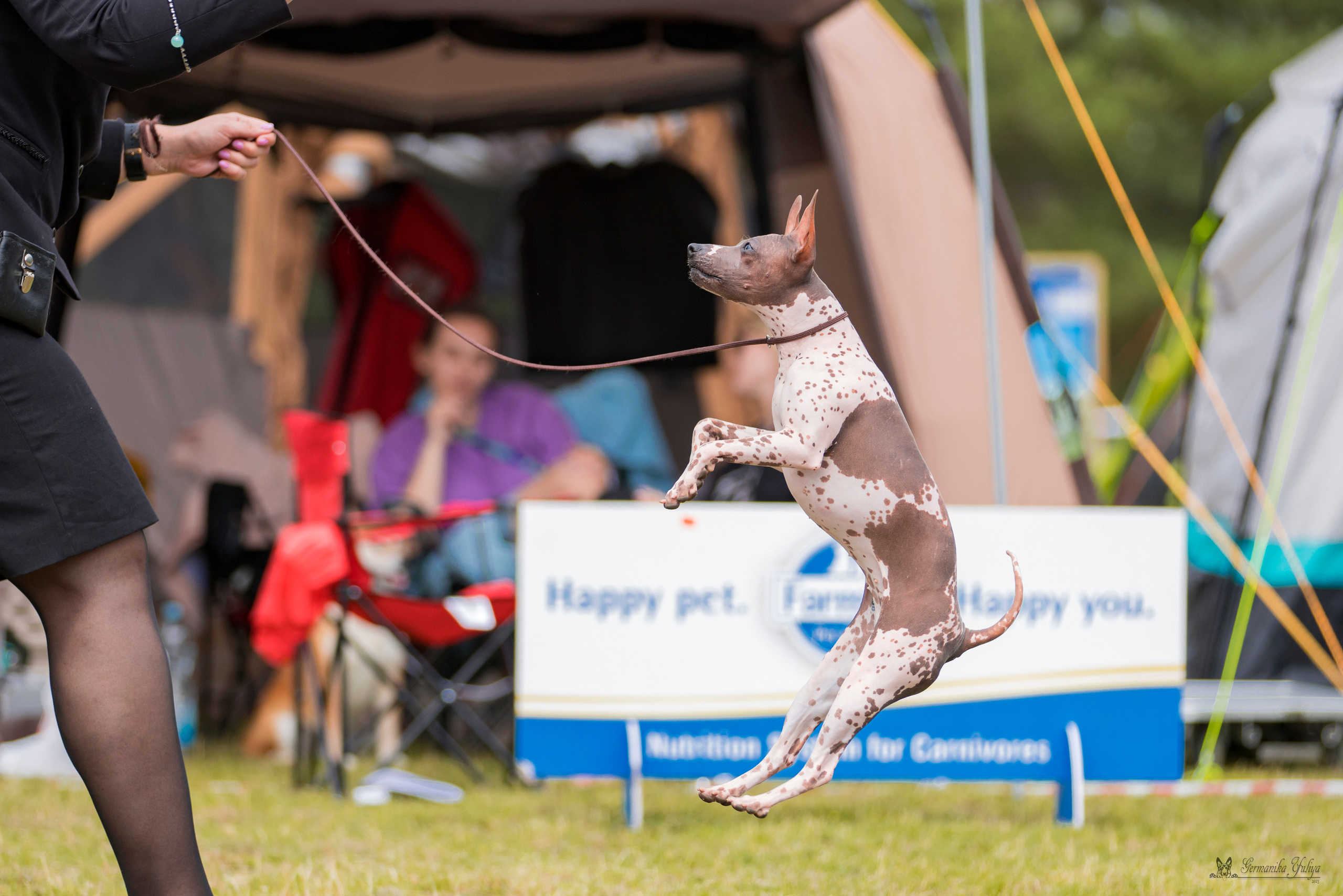 Владимир 1-2.07.2023. Фотограф-анималист Юлия Германика