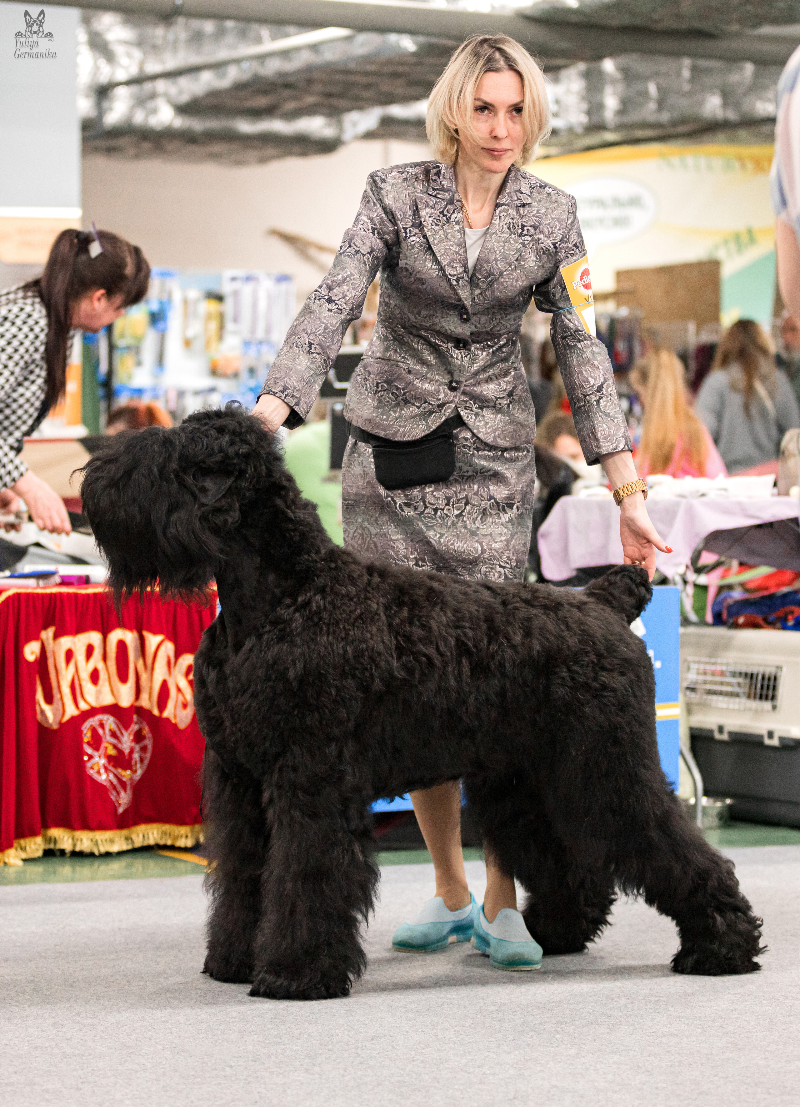 Сфера 25-26.03.2023. Фотограф-анималист Юлия Германика