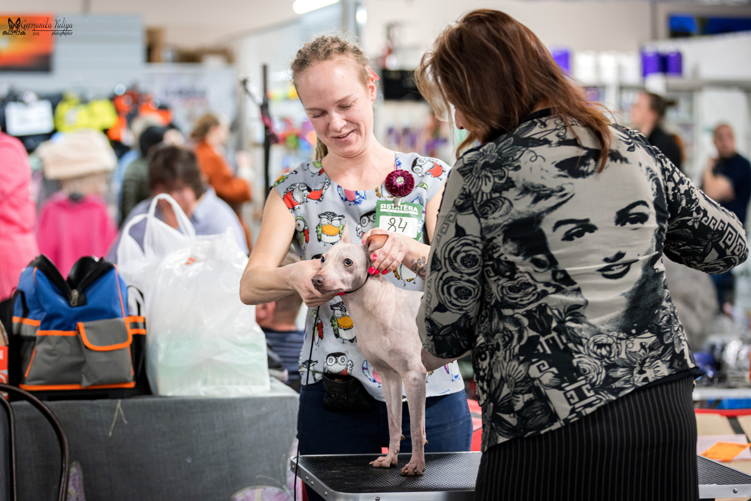 Сфера+МД 8-9.04.2023. Фотограф-анималист Юлия Германика