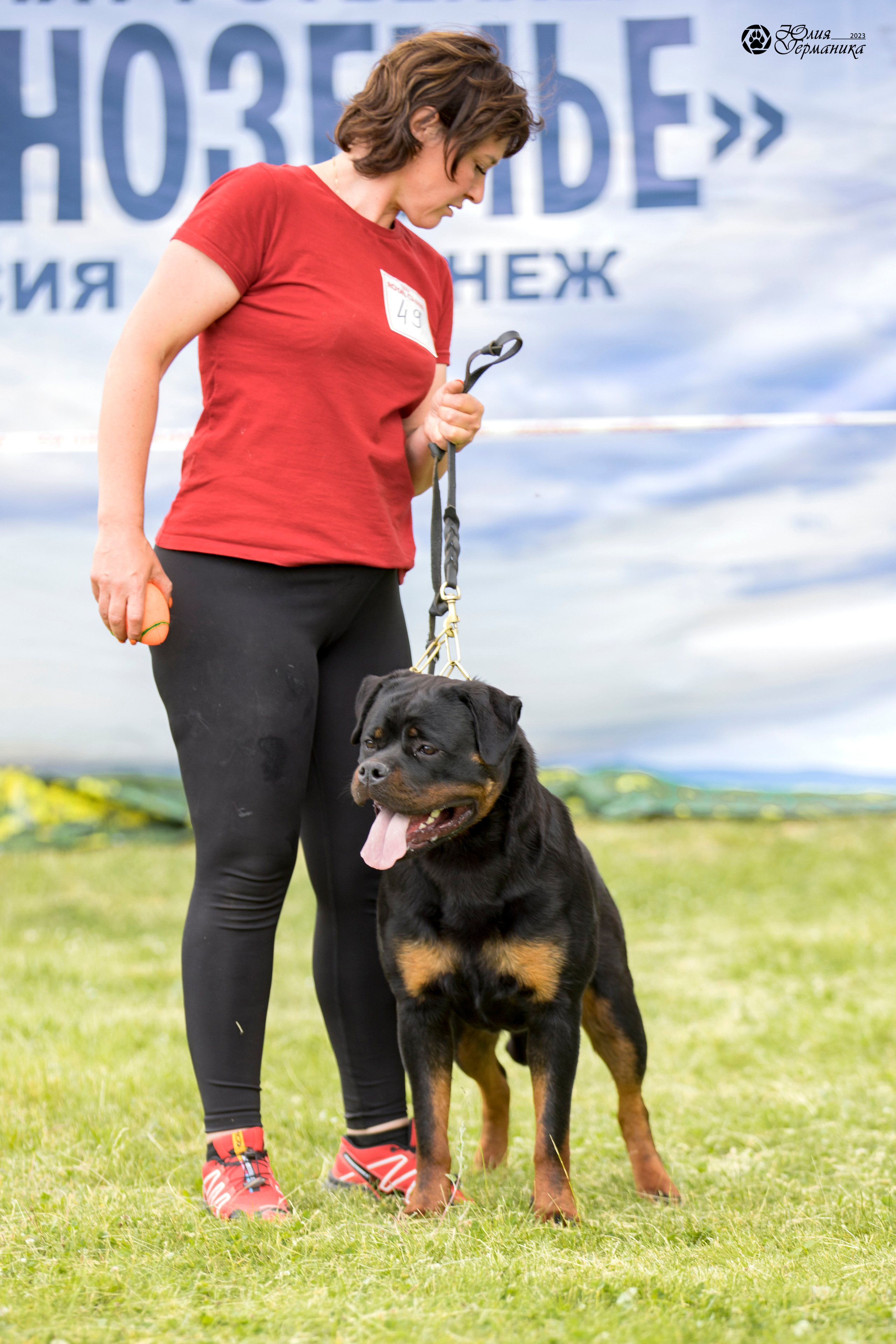 Воронеж 2хмоно ротвейлеров 3-4.06.2023. Фотограф-анималист Юлия Германика