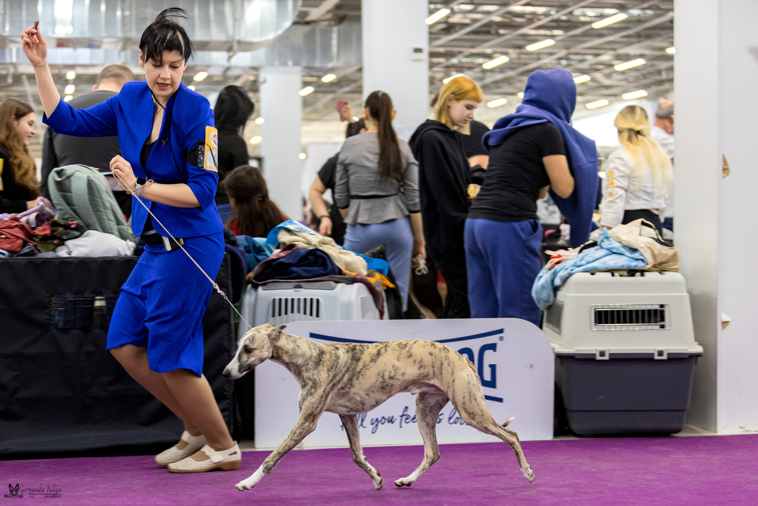 Сфера+МД 8-9.04.2023. Фотограф-анималист Юлия Германика