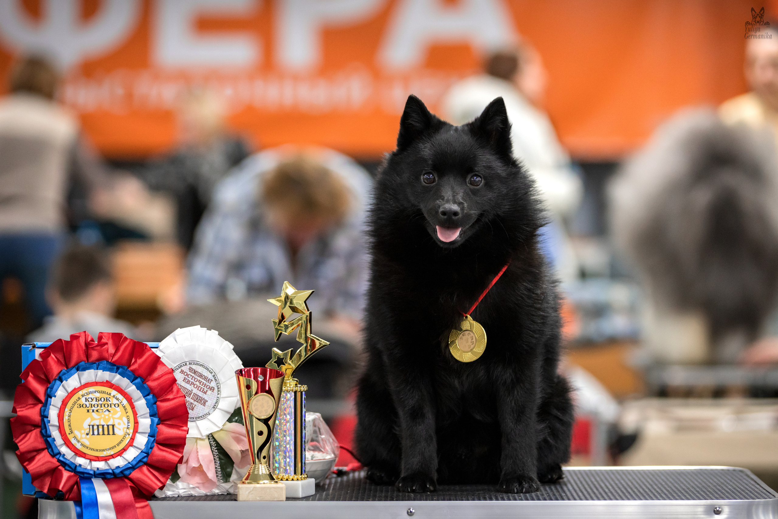 Сфера 25-26.03.2023. Фотограф-анималист Юлия Германика