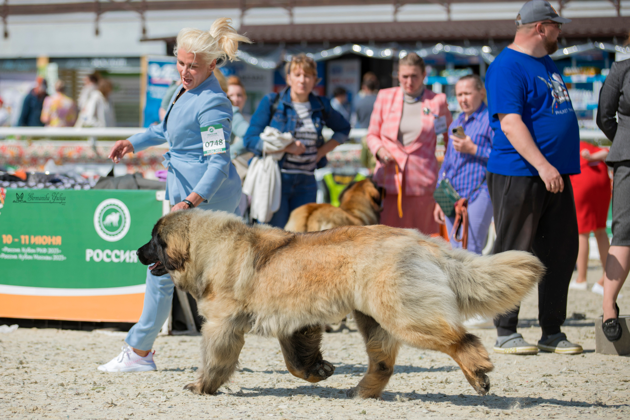 Россия 10-11.06.2023. Фотограф-анималист Юлия Германика