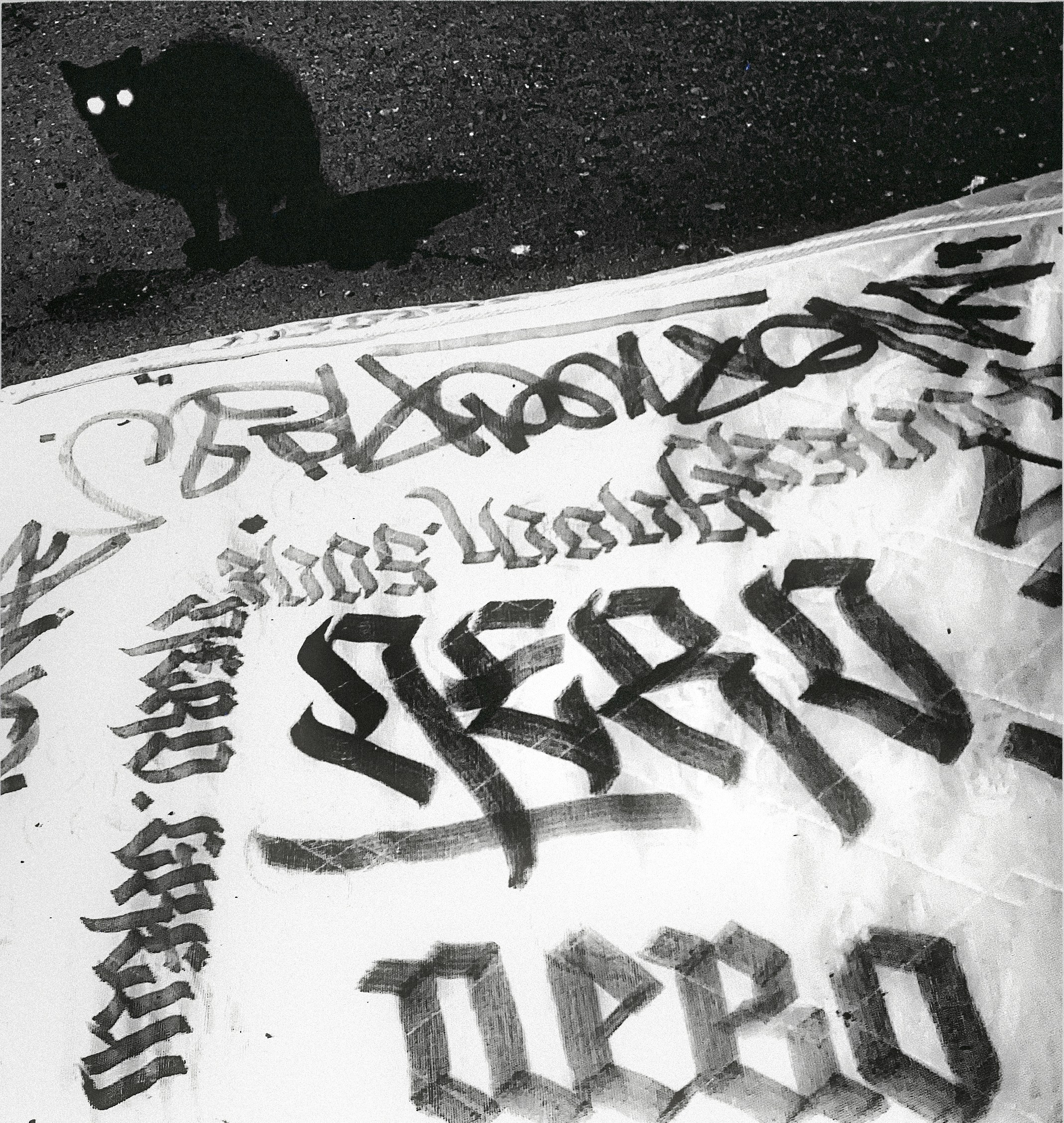 Точка черного. Сафонов Владислав, фотохудожник