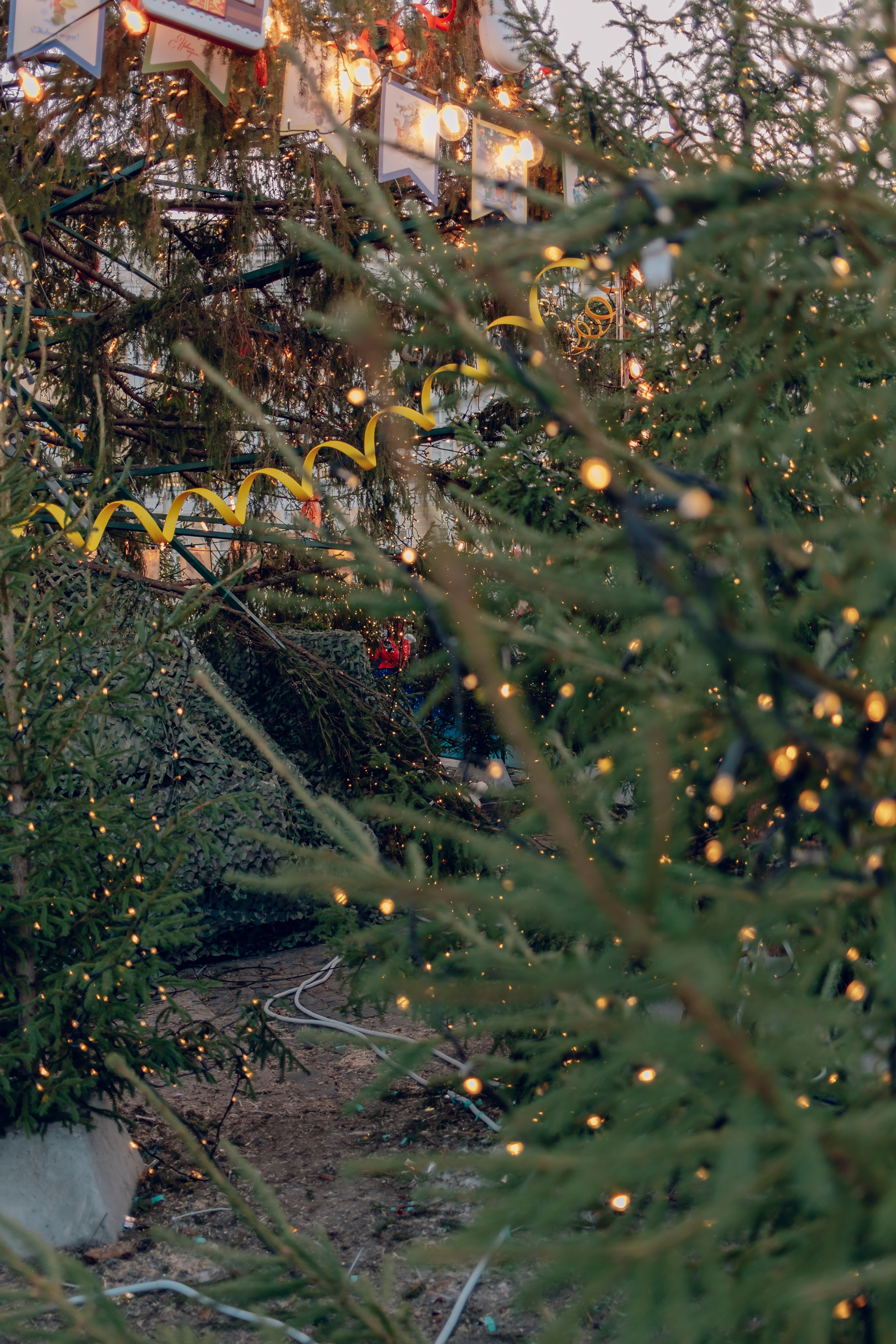 Санкт-Петербург. Аня Степанова