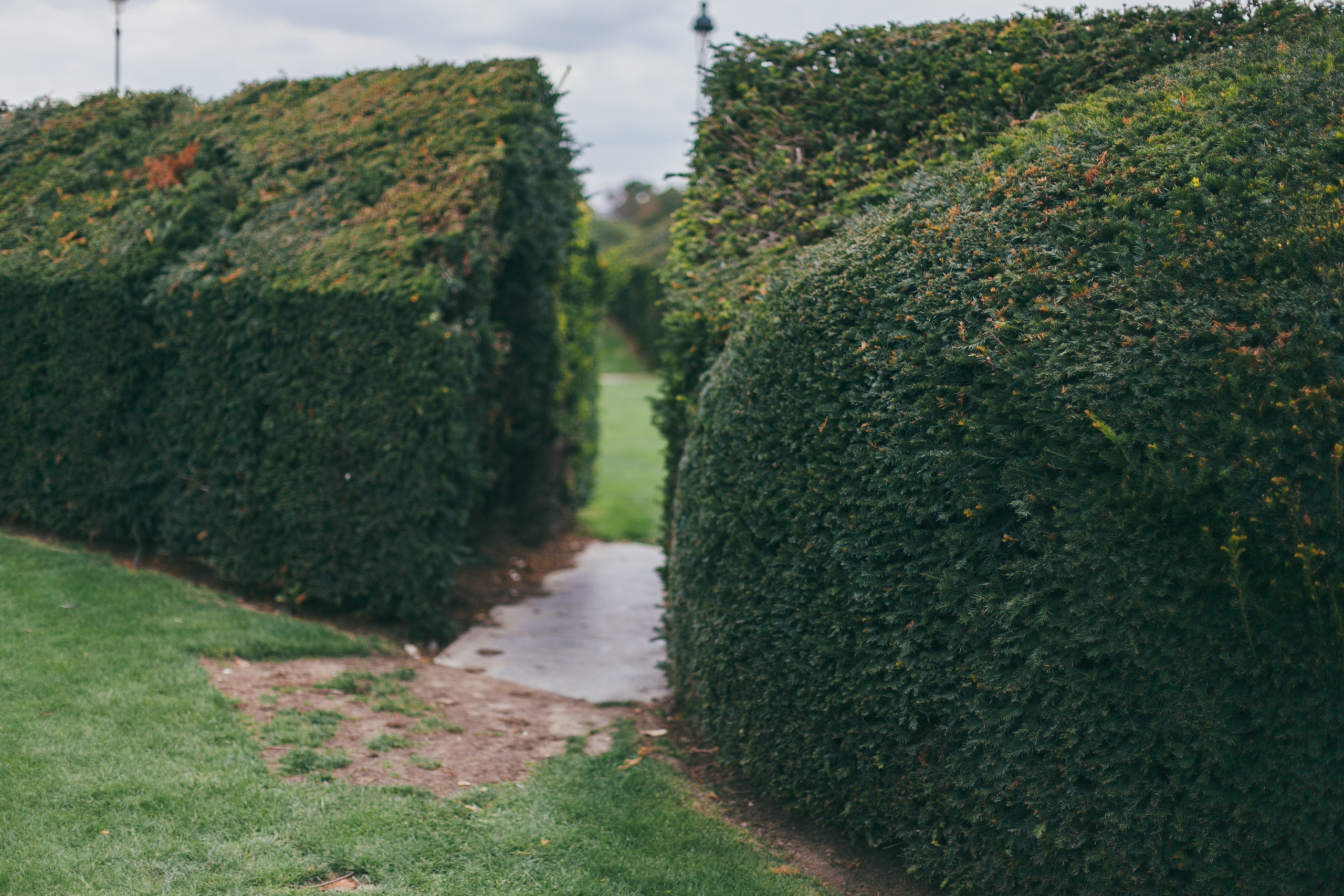 Париж. Аня Степанова