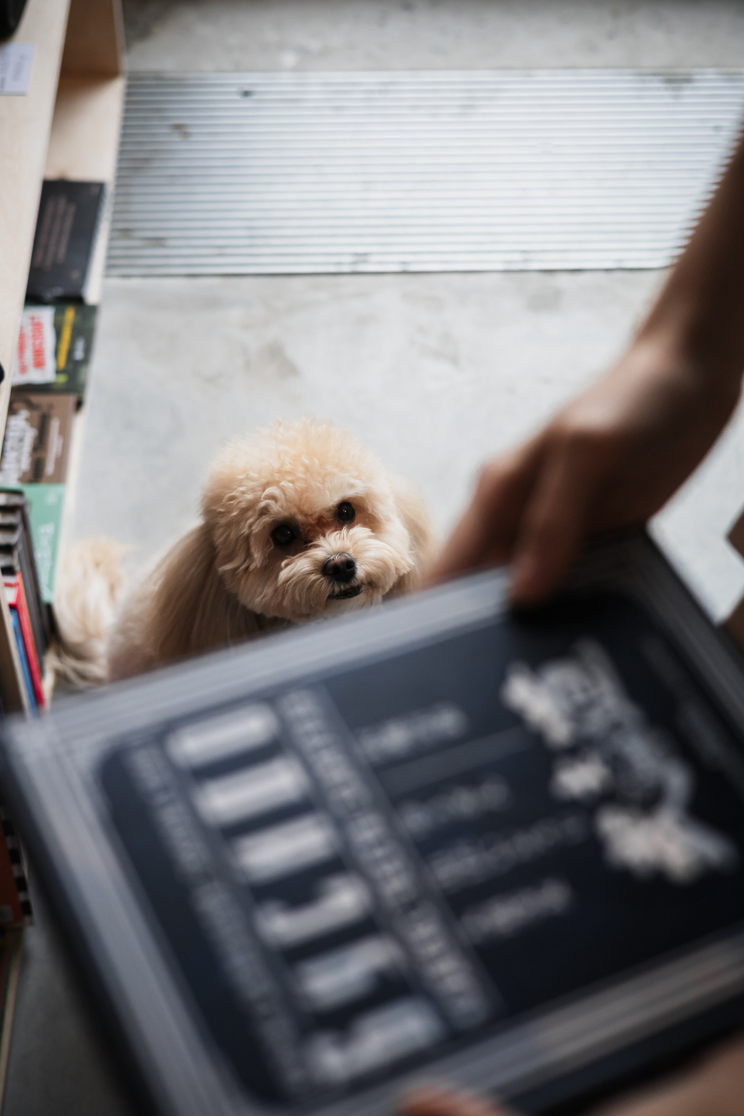 Алина — прогулка