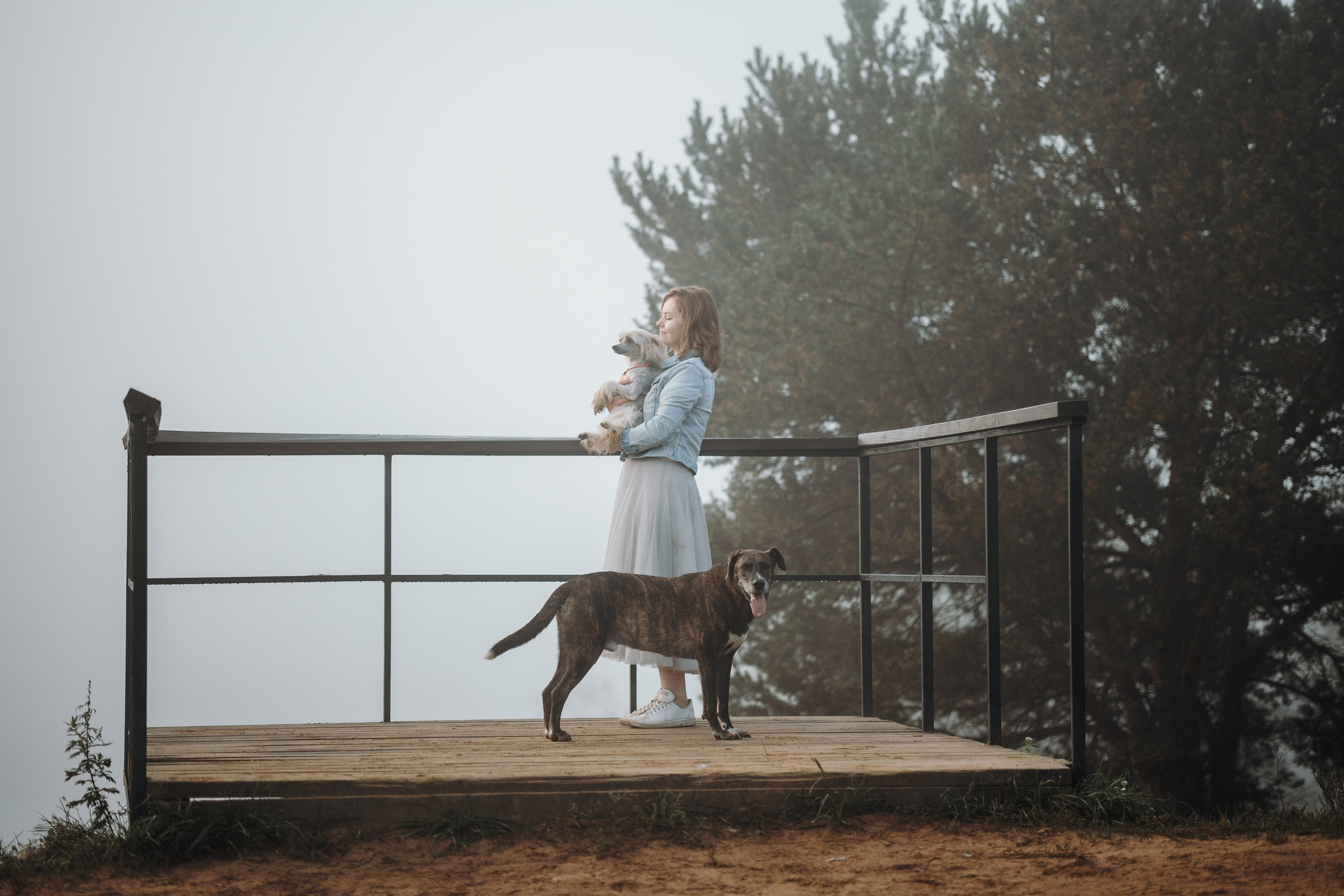 Любовь и ее хвостики. Фотограф — Анималист | Санкт-Петербург