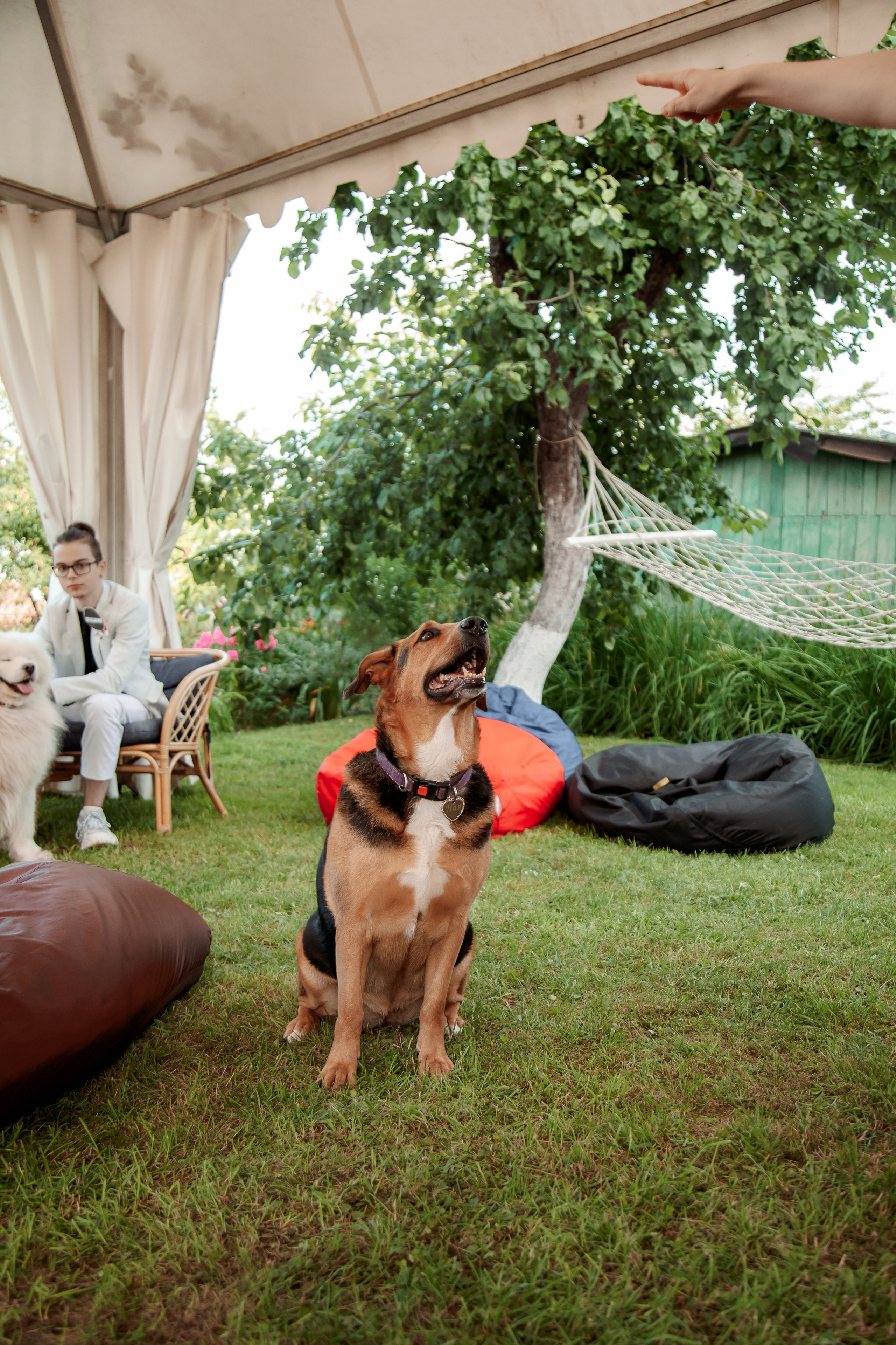 Екатерина и Сергей. Свадебный и семейный фотограф в Минске Духович Татьяна