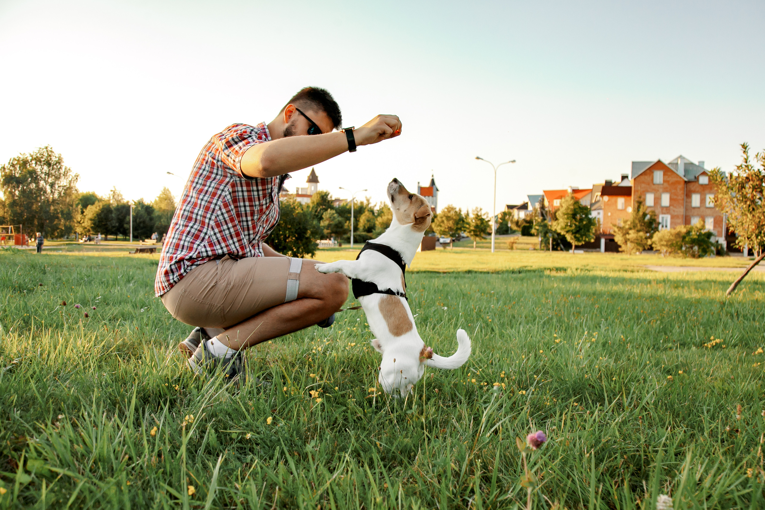 Юля, Артем, Андрей, Джек. Свадебный и семейный фотограф в Минске Духович Татьяна