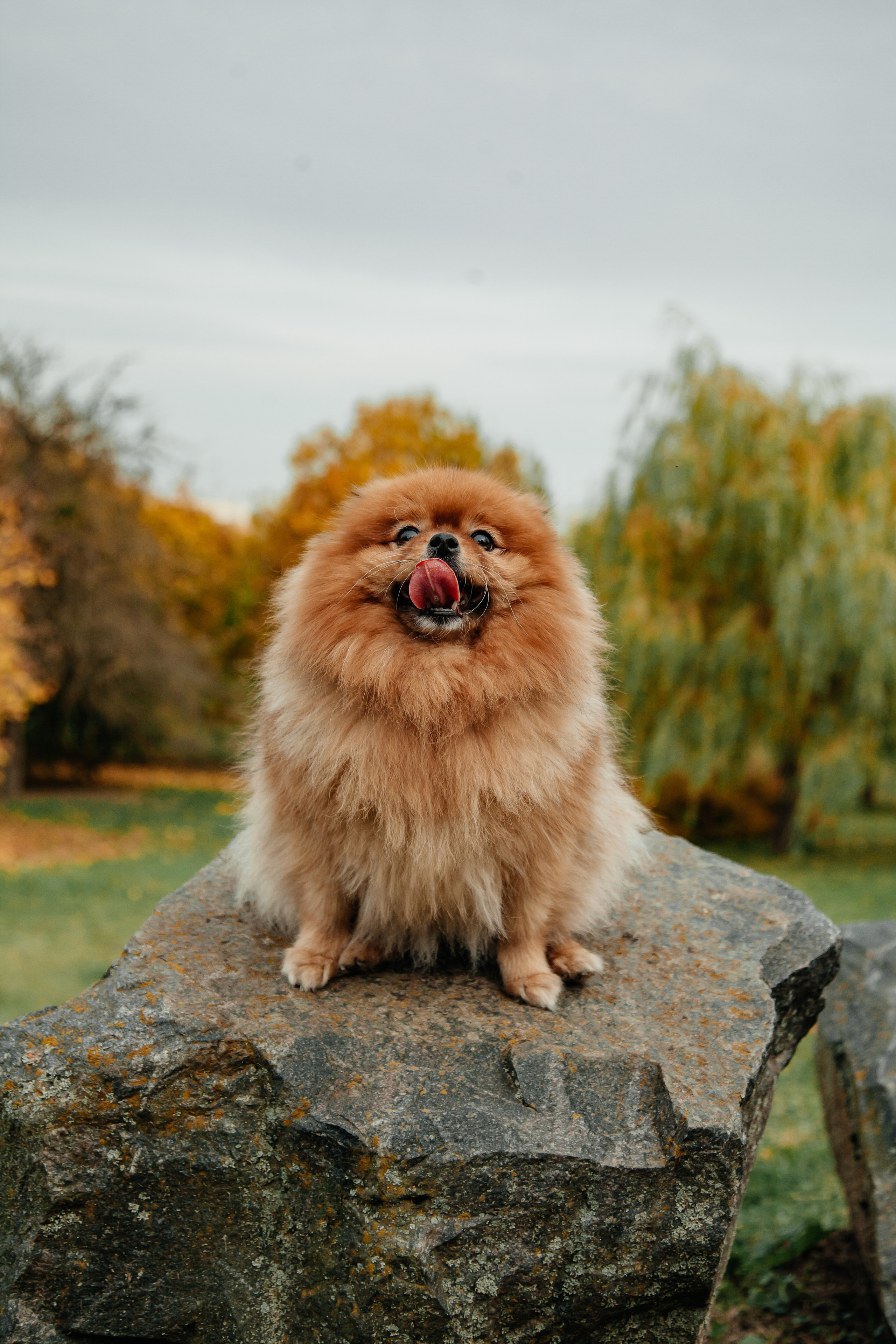 Татьяна, Игорь, Владислав, Никита. Свадебный и семейный фотограф в Минске Духович Татьяна