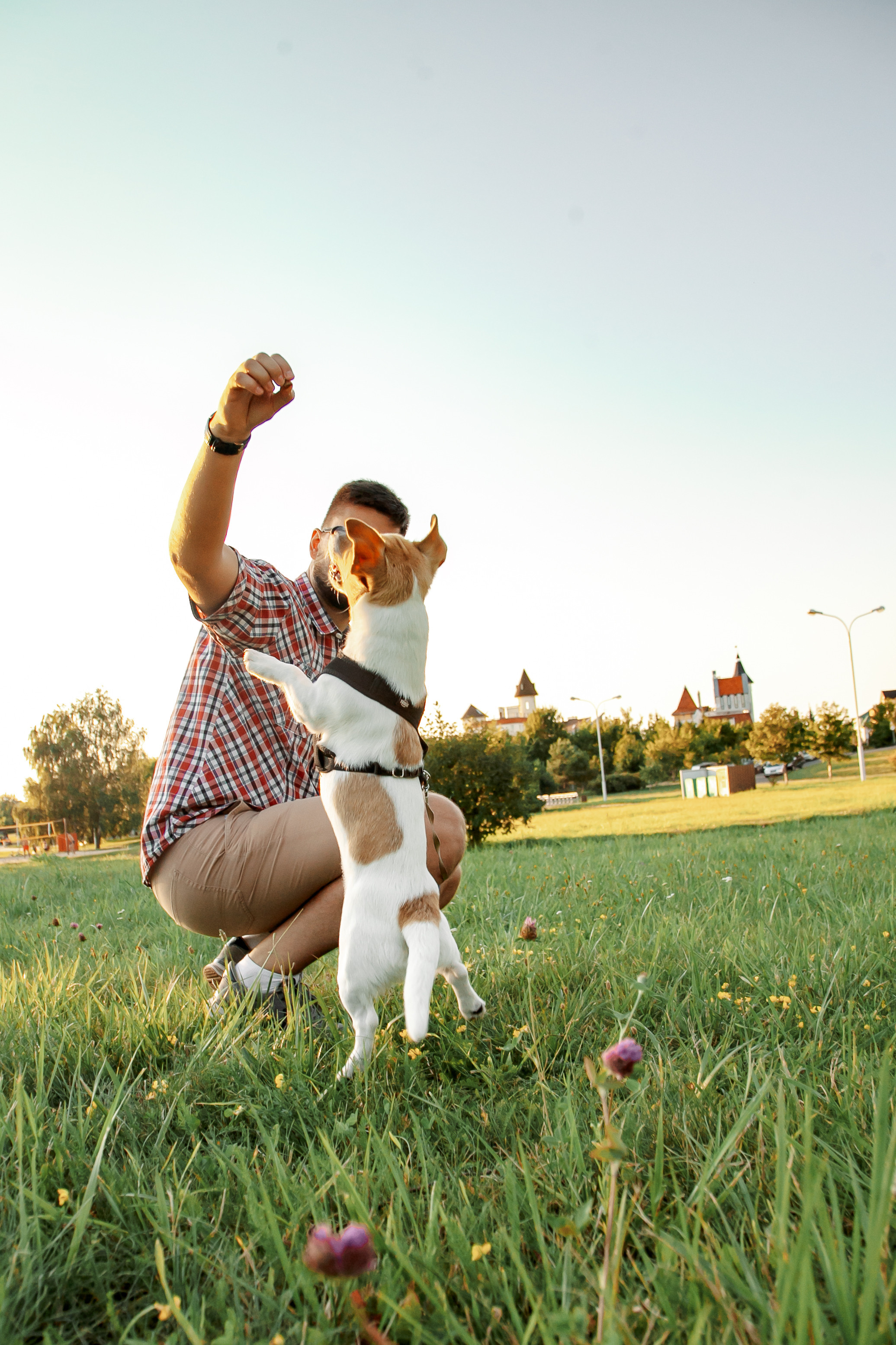 Юля, Артем, Андрей, Джек. Свадебный и семейный фотограф в Минске Духович Татьяна