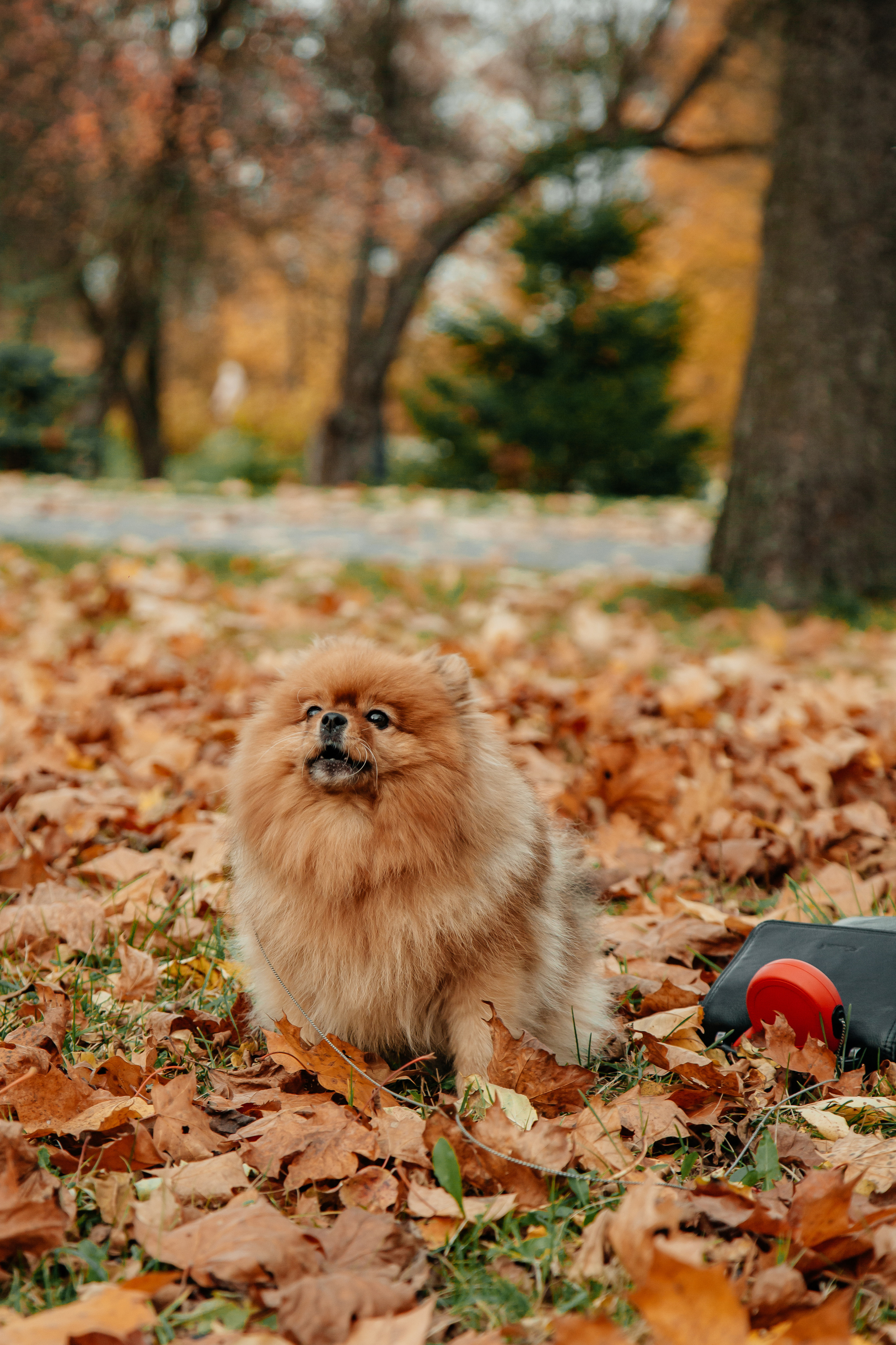 Татьяна, Игорь, Владислав, Никита. Свадебный и семейный фотограф в Минске Духович Татьяна