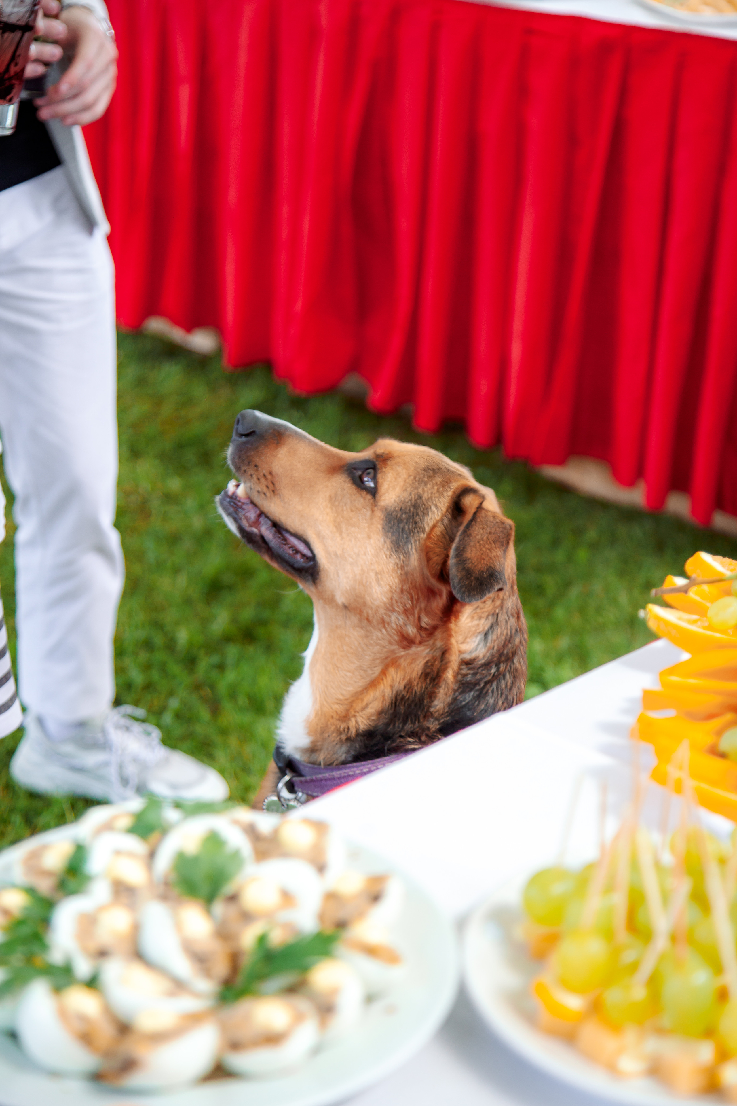 Екатерина и Сергей. Свадебный и семейный фотограф в Минске Духович Татьяна
