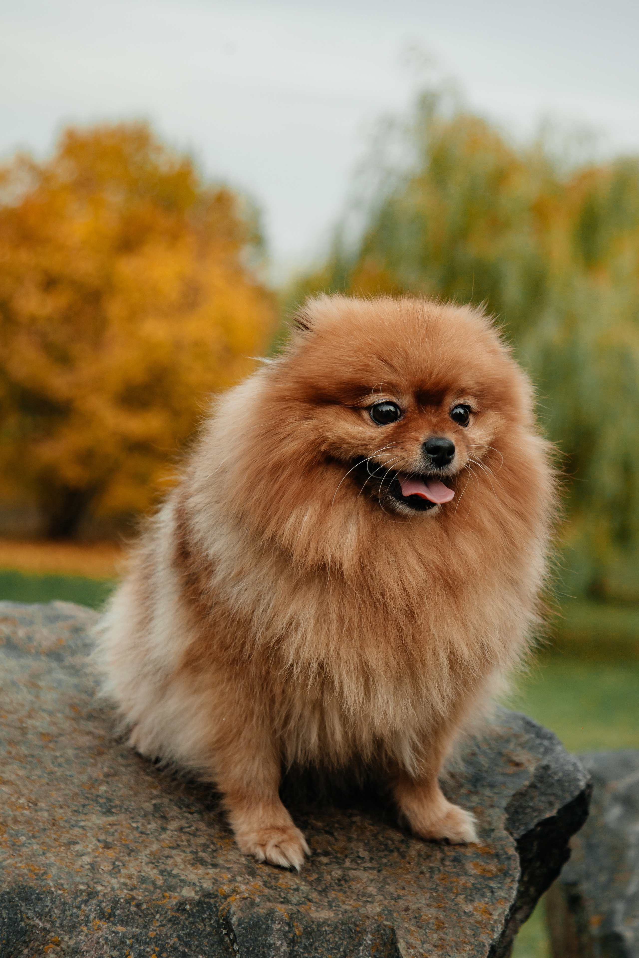 Татьяна, Игорь, Владислав, Никита. Свадебный и семейный фотограф в Минске Духович Татьяна