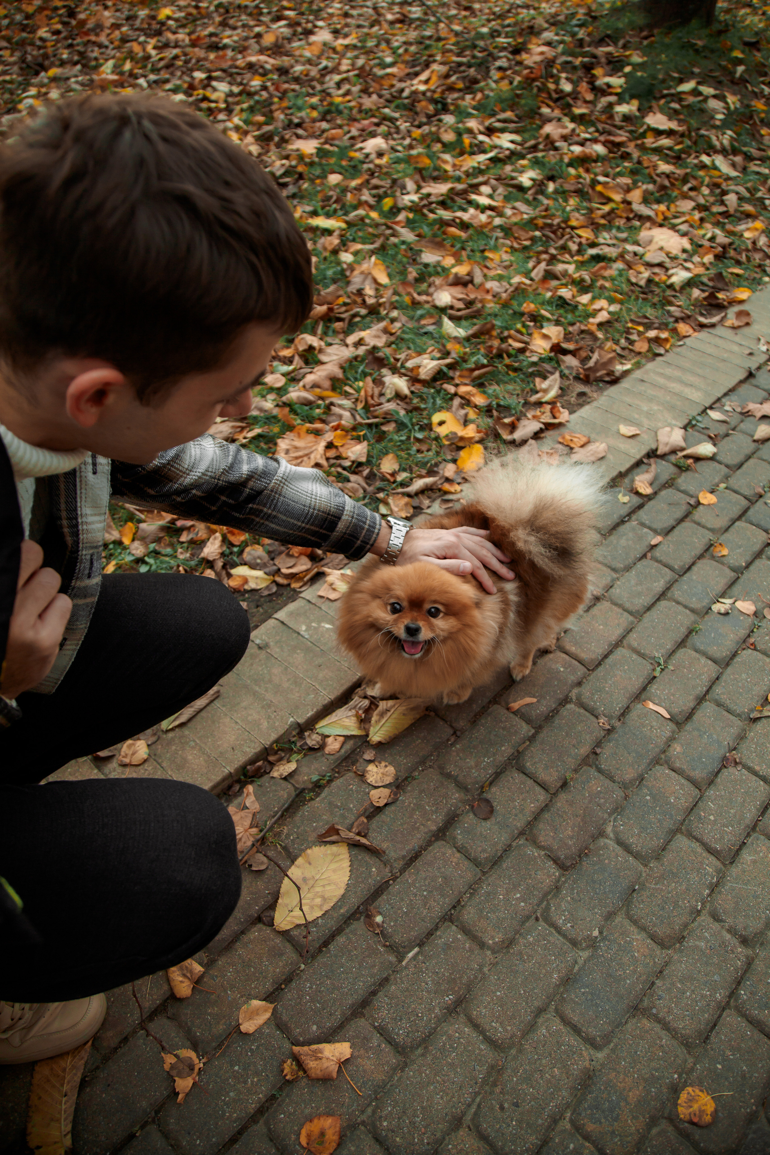 Татьяна, Игорь, Владислав, Никита. Свадебный и семейный фотограф в Минске Духович Татьяна