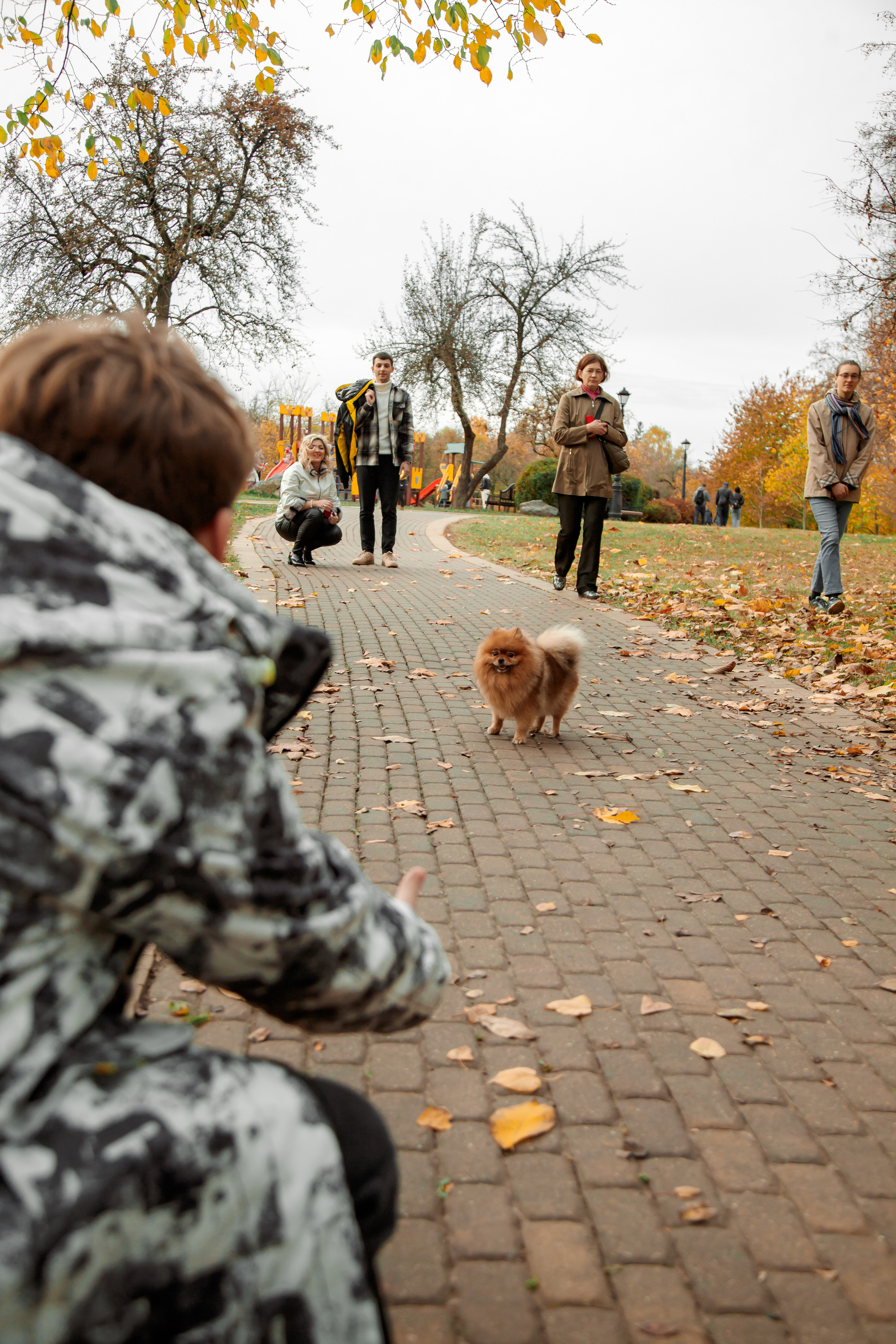 Татьяна, Игорь, Владислав, Никита. Свадебный и семейный фотограф в Минске Духович Татьяна