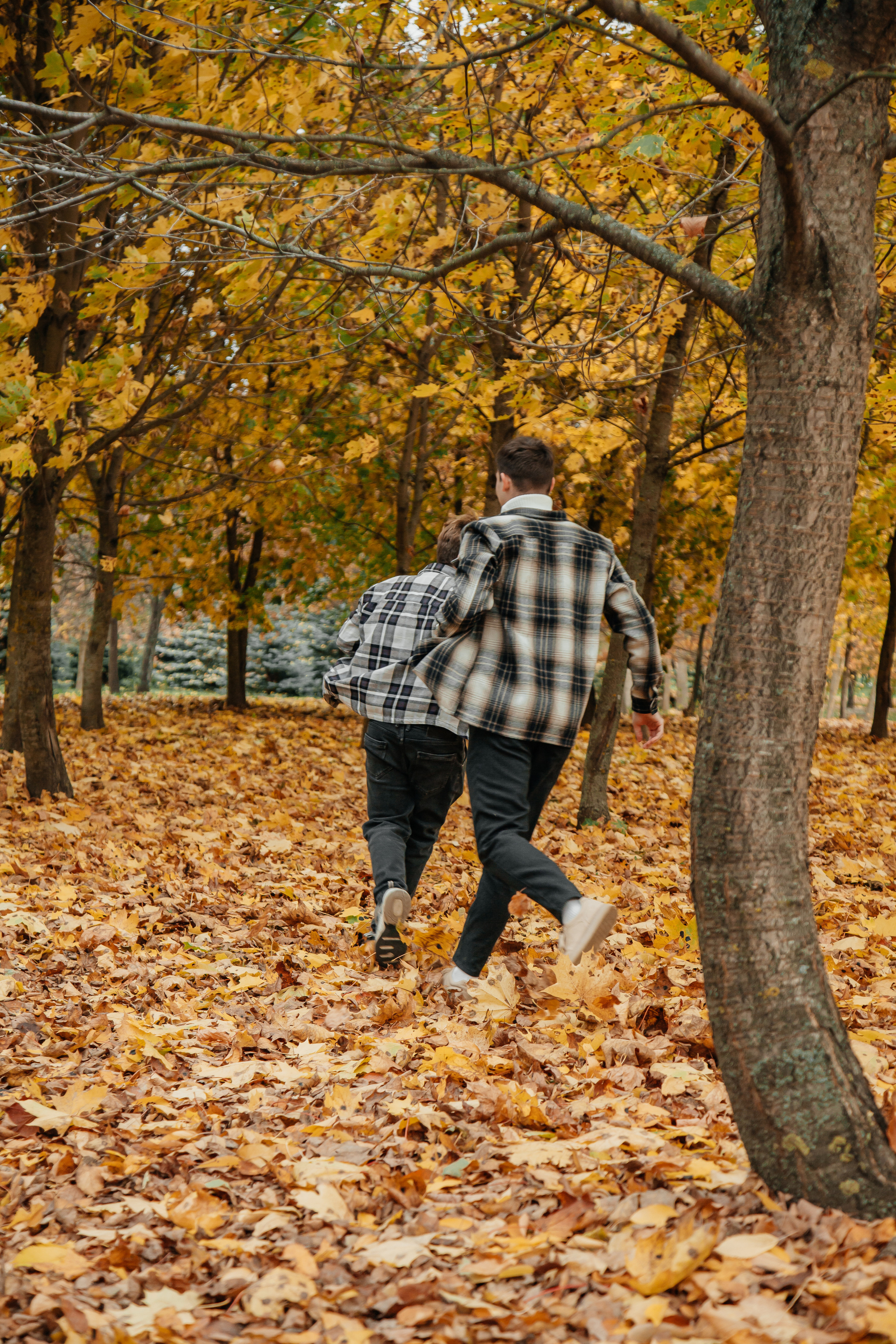 Татьяна, Игорь, Владислав, Никита. Свадебный и семейный фотограф в Минске Духович Татьяна