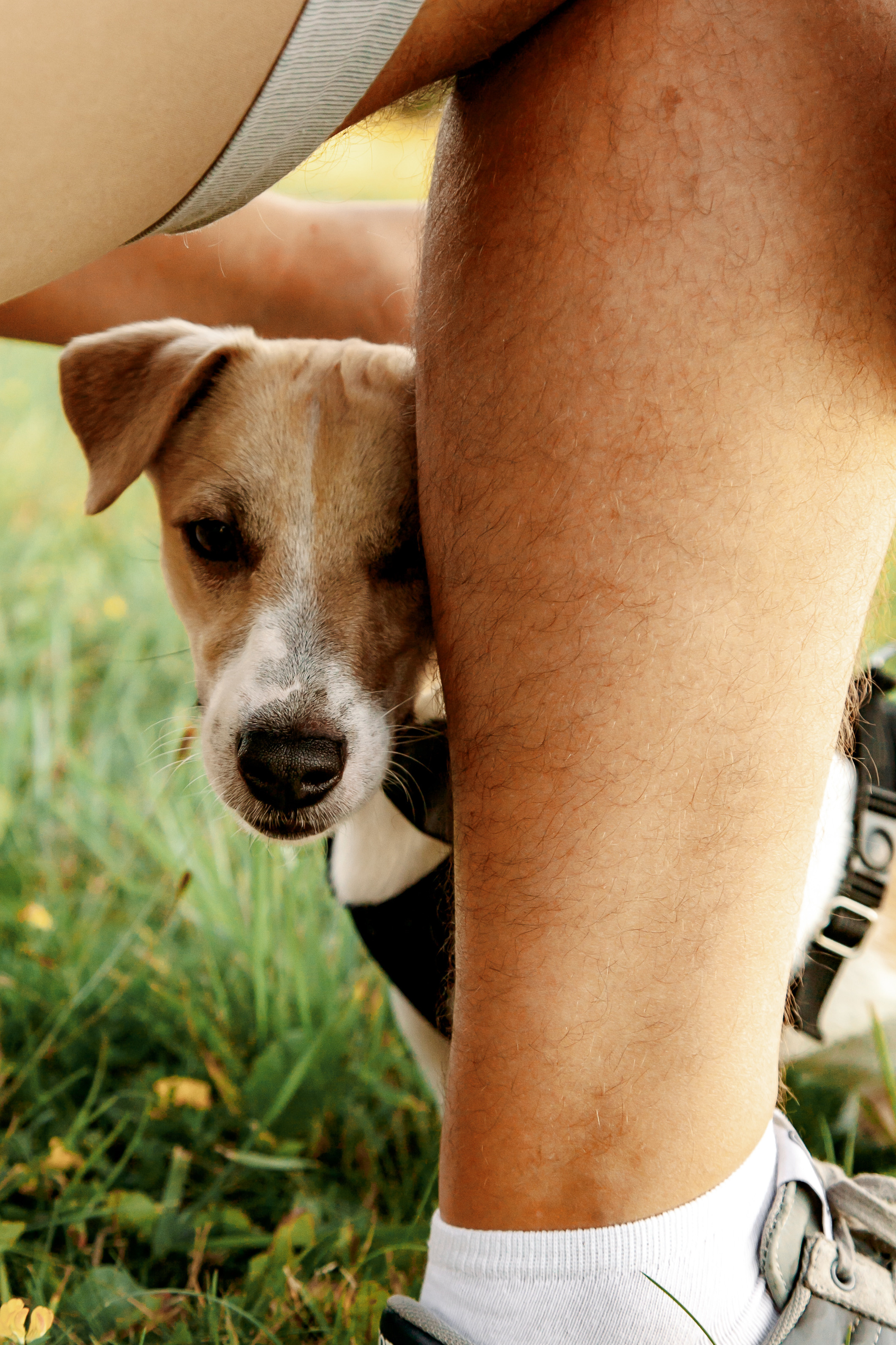Юля, Артем, Андрей, Джек. Свадебный и семейный фотограф в Минске Духович Татьяна